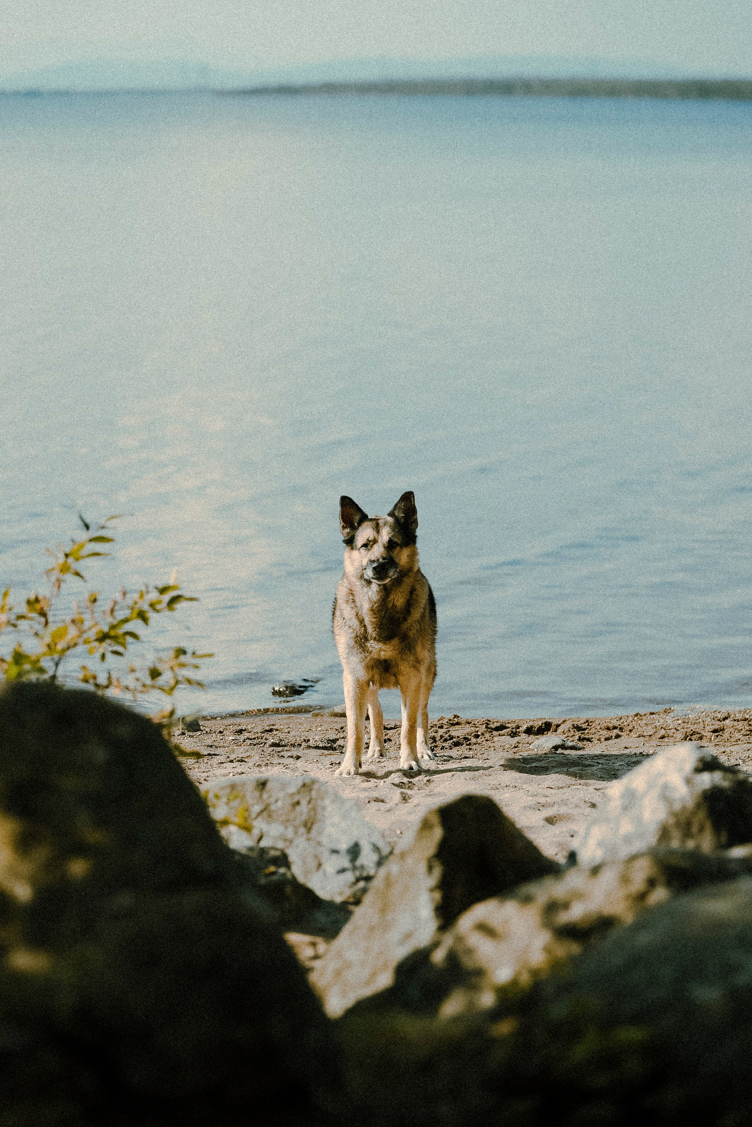 2025. Стрит-фотография, полная абсурда, идиотизма и красоты