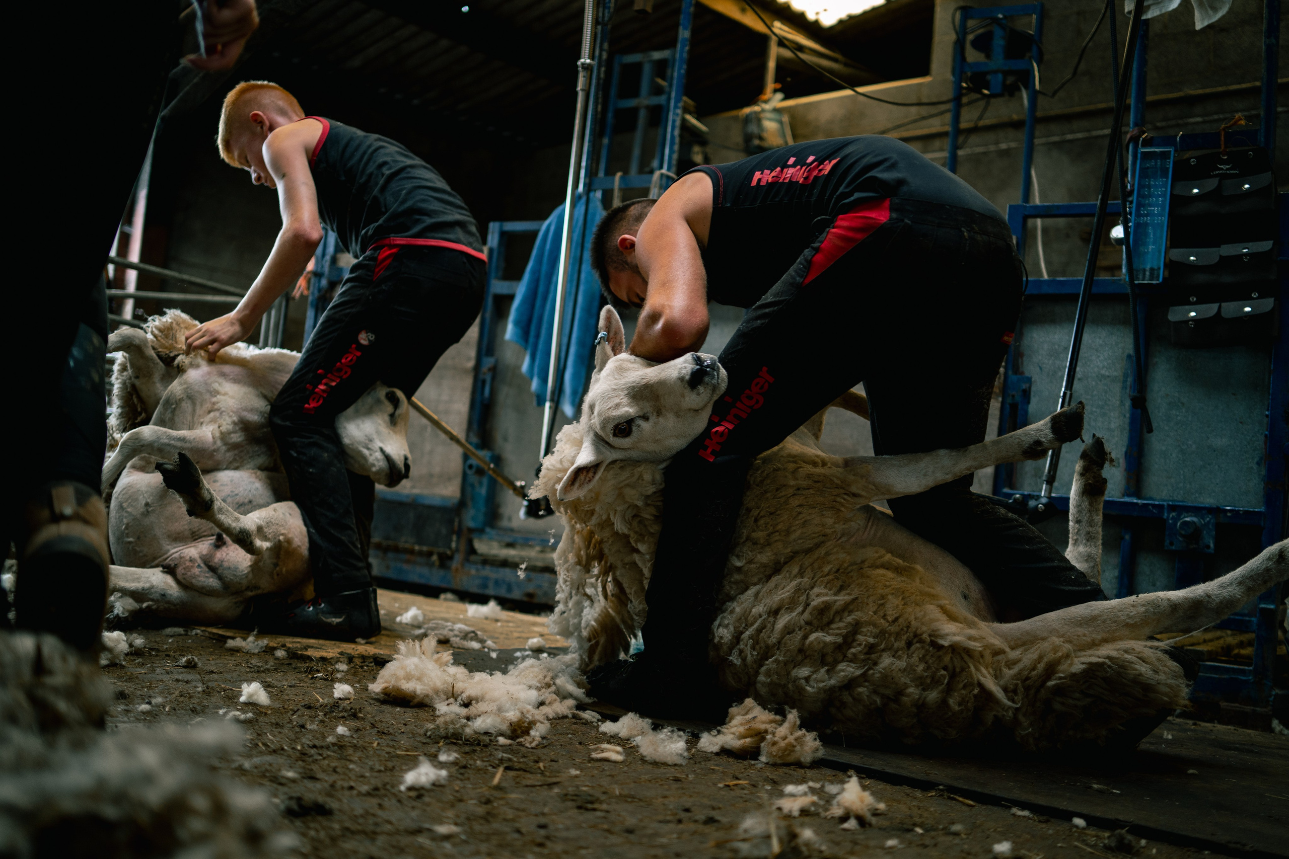 Farm Life. Ryan Hewitt Photographer