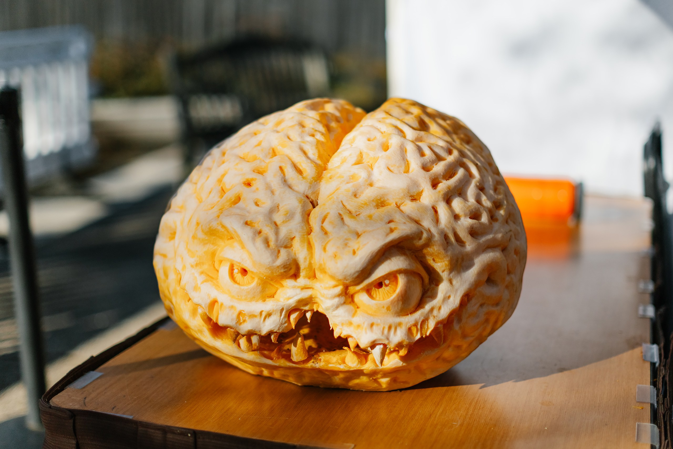 10.26.25 Family Photoshoot. Wedding family event photographer in Chicago Nick Yushevich