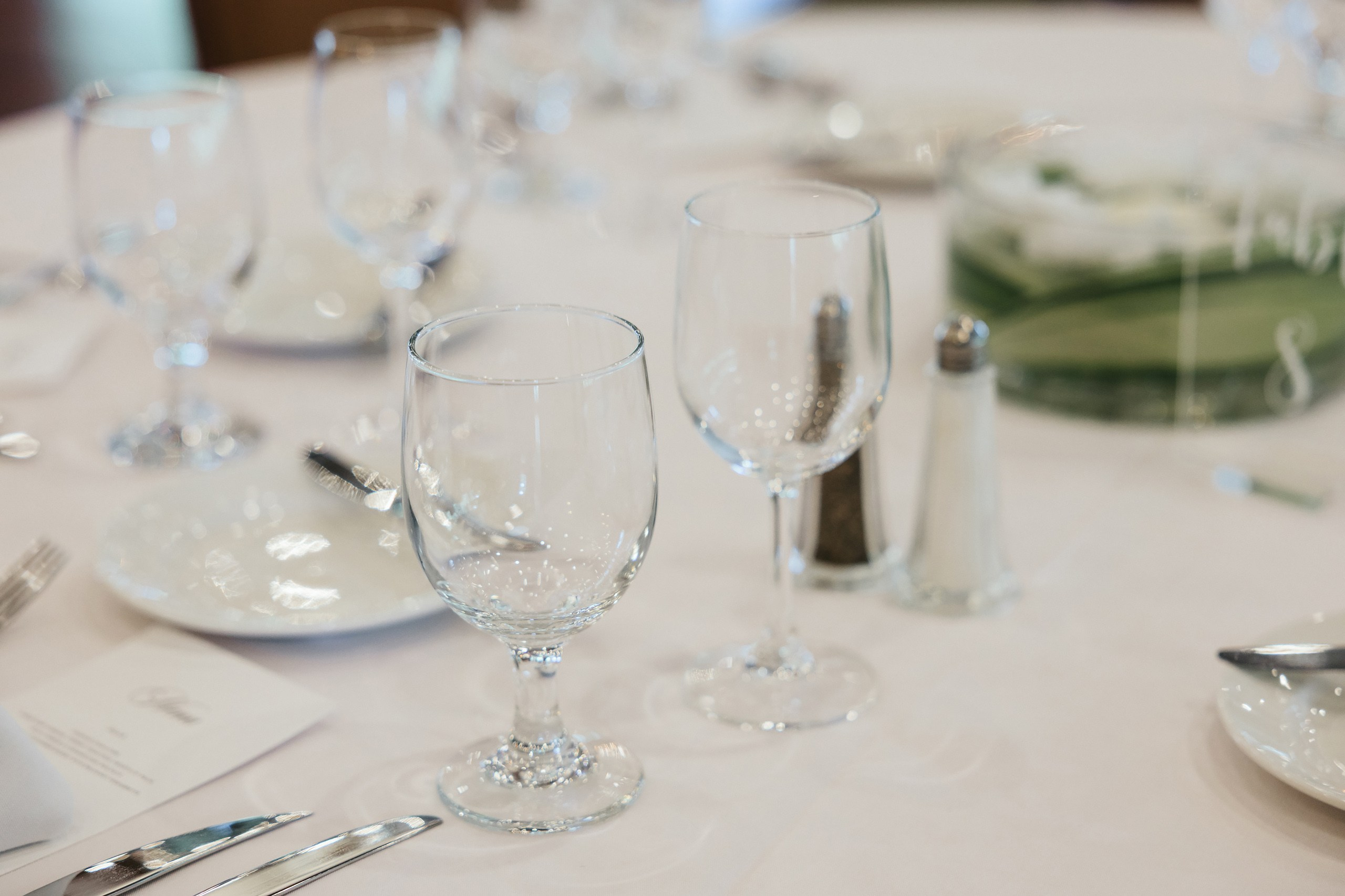 06.14.2025 Wedding. Wedding family event photographer in Chicago Nick Yushevich