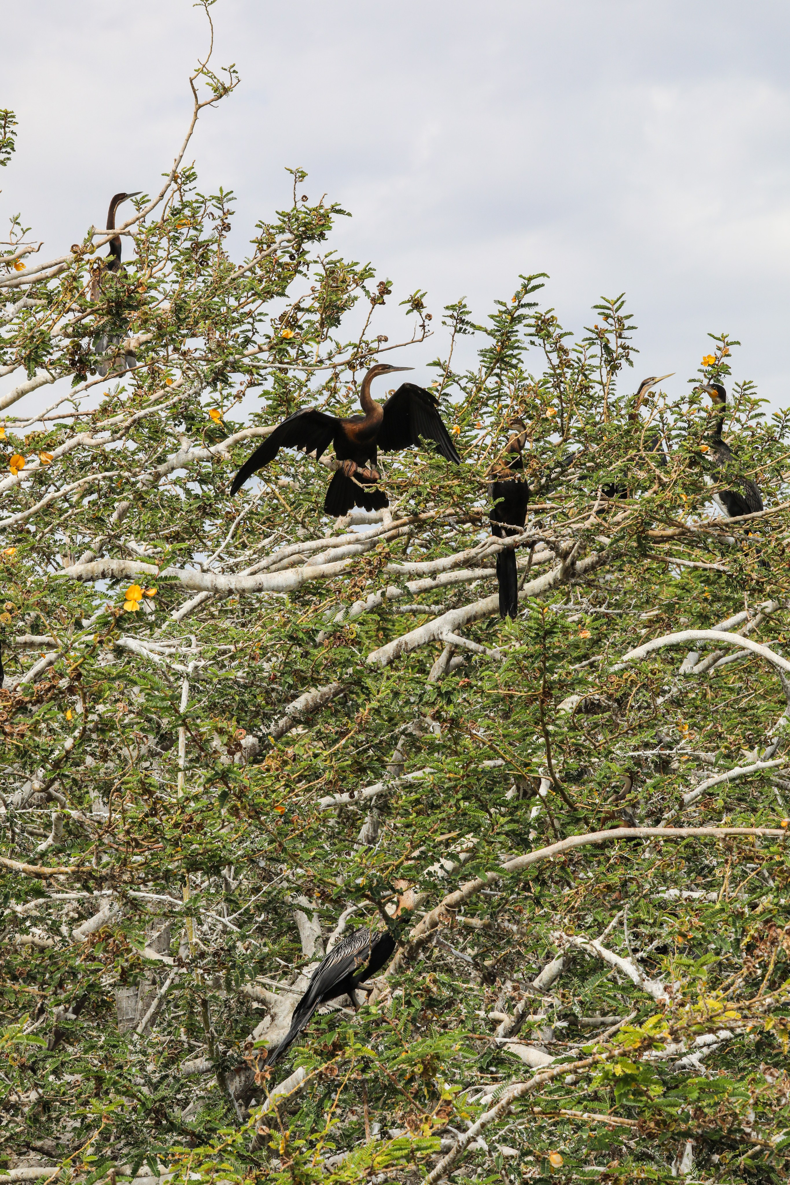 Ethiopia. Documentary, lifestile photographer in Morocco Marina Chaikovskaia