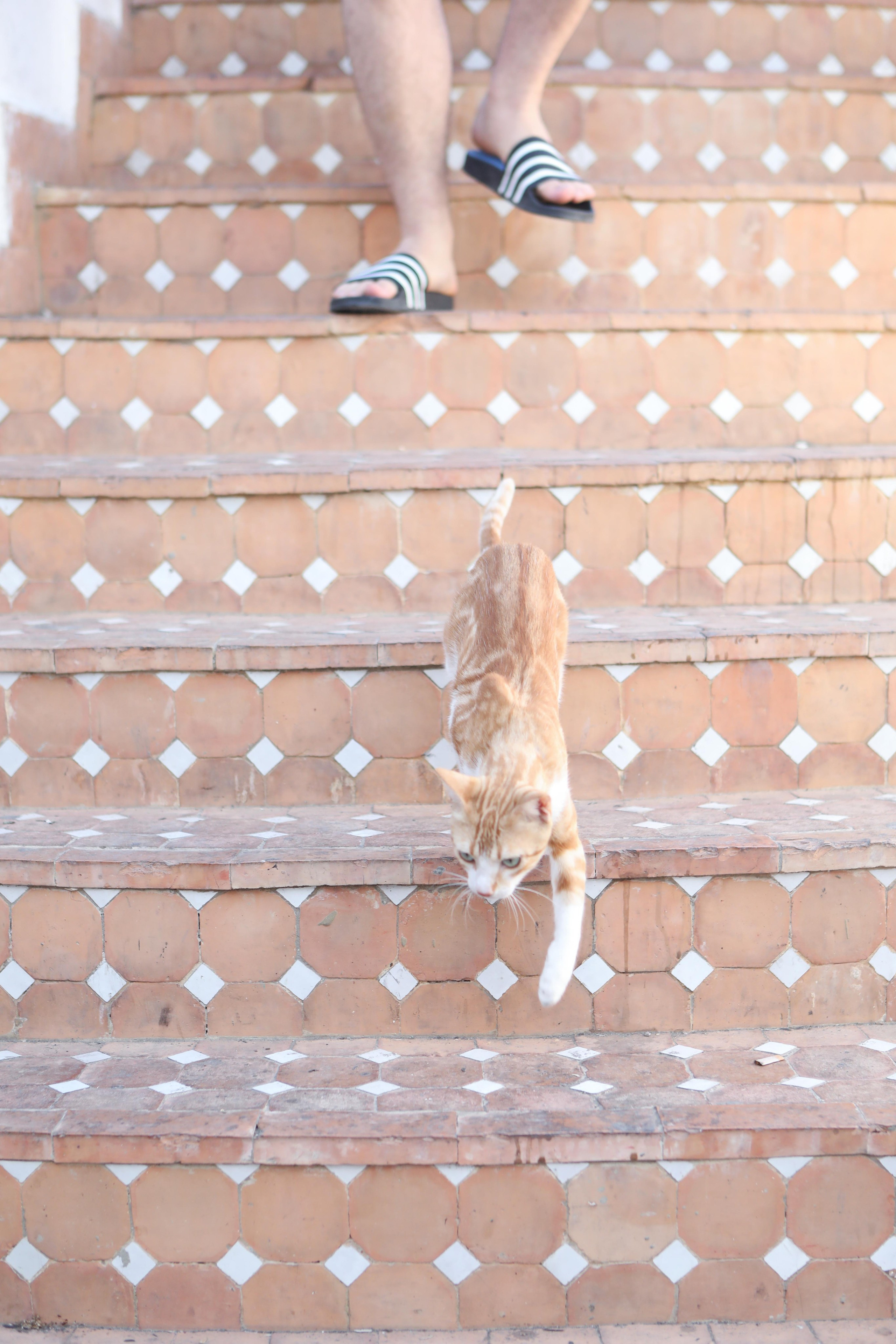 Morocco. Documentary, lifestile photographer in Morocco Marina Chaikovskaia