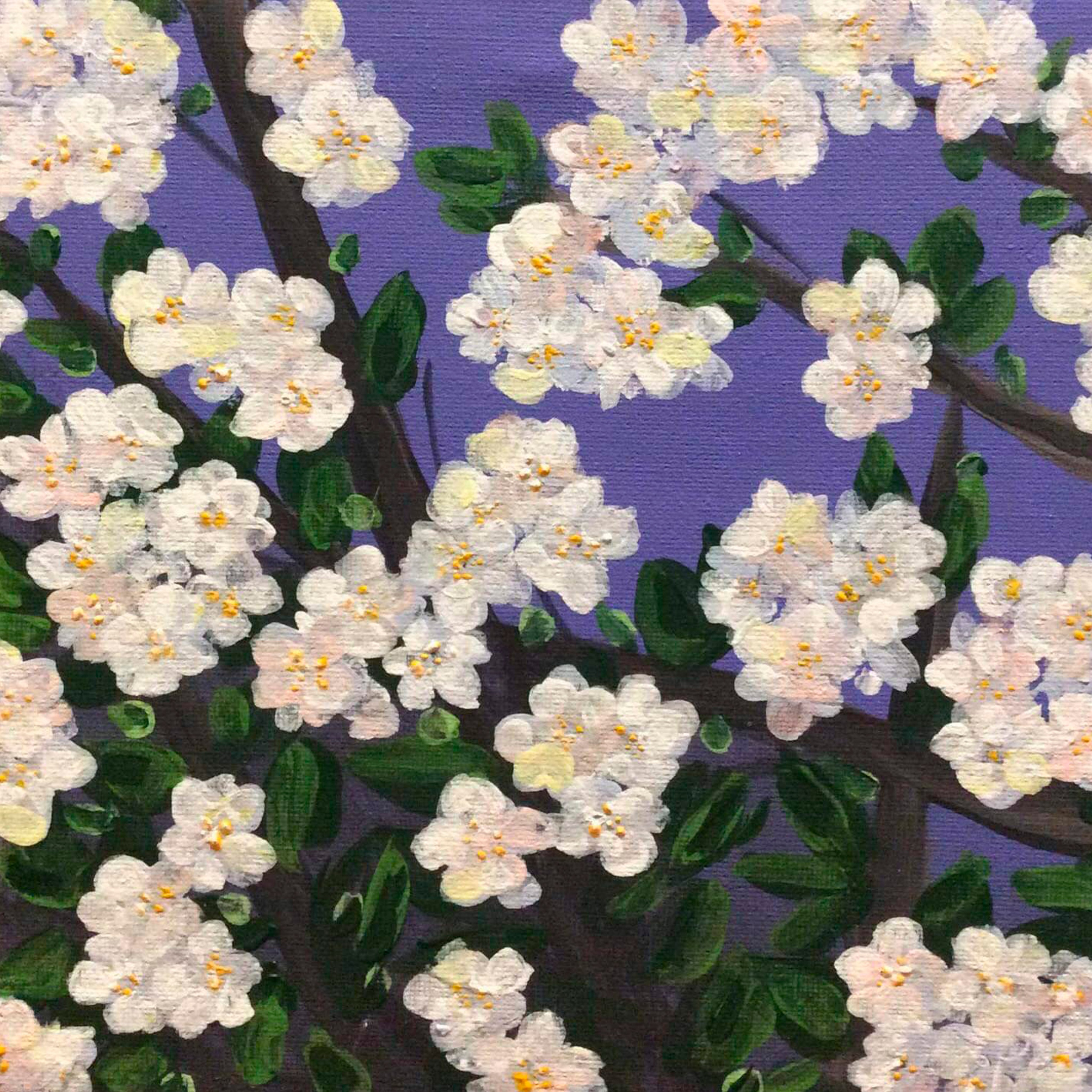 პორტფოლიო. მთავარი