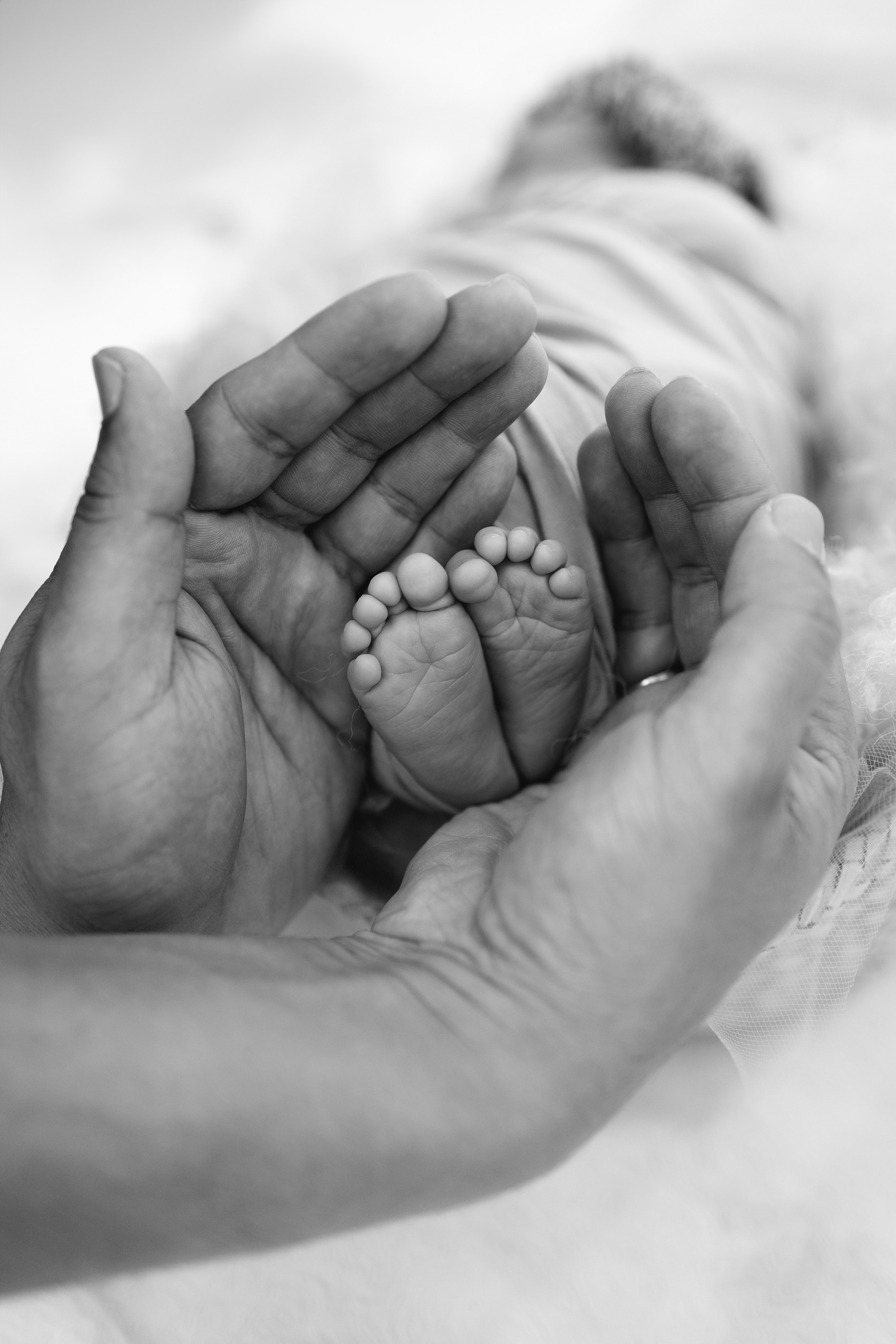 Newborn. Anaeliseevaphoto.com