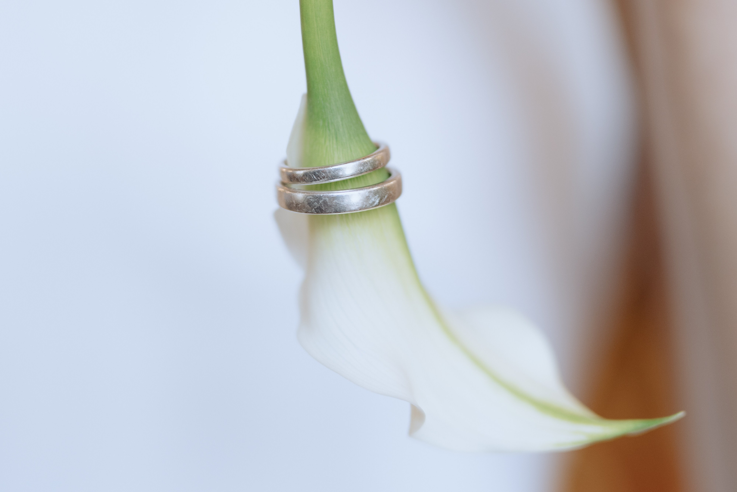 Свадебные. Портретный и свадебный фотограф в Риге