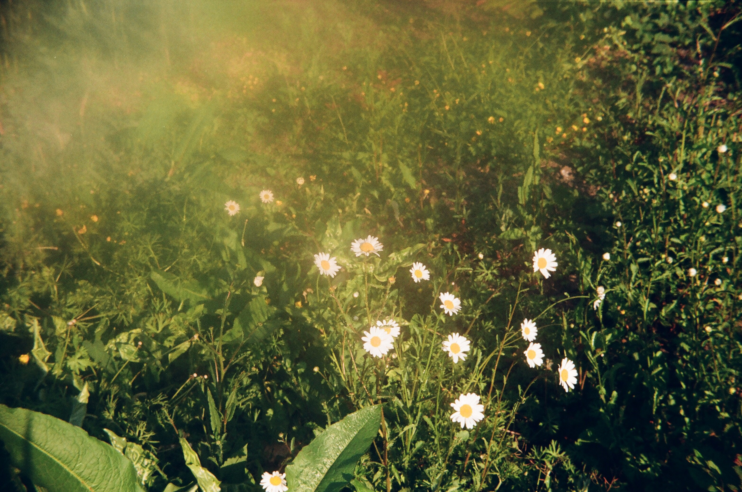 Folkestone (England, UK) 2025. Elena Zykova film photographer in London