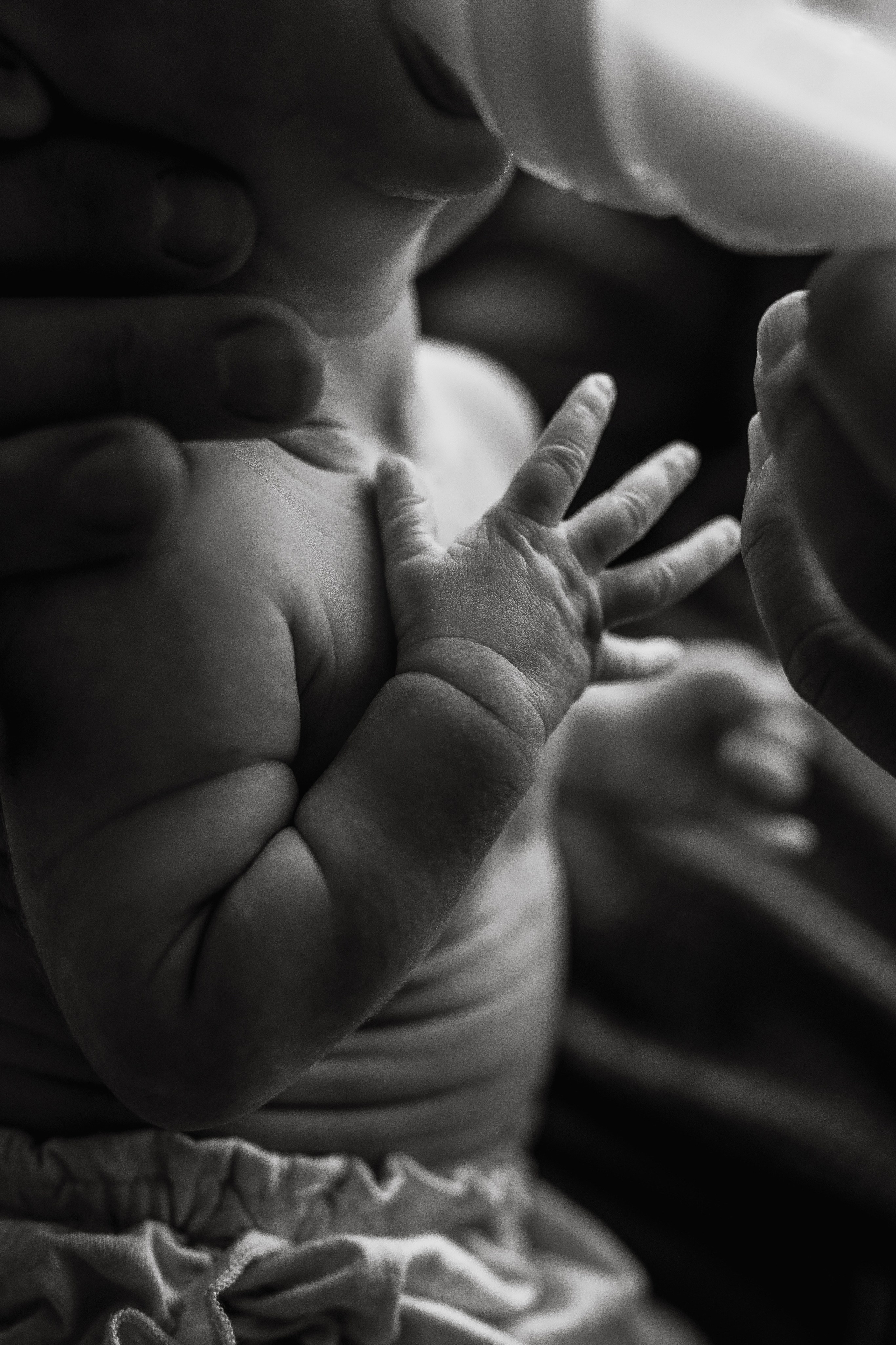 Dana, Paul, Matteo. Wedding and family photographer and videographer PA, NJ, NY, DE, MD