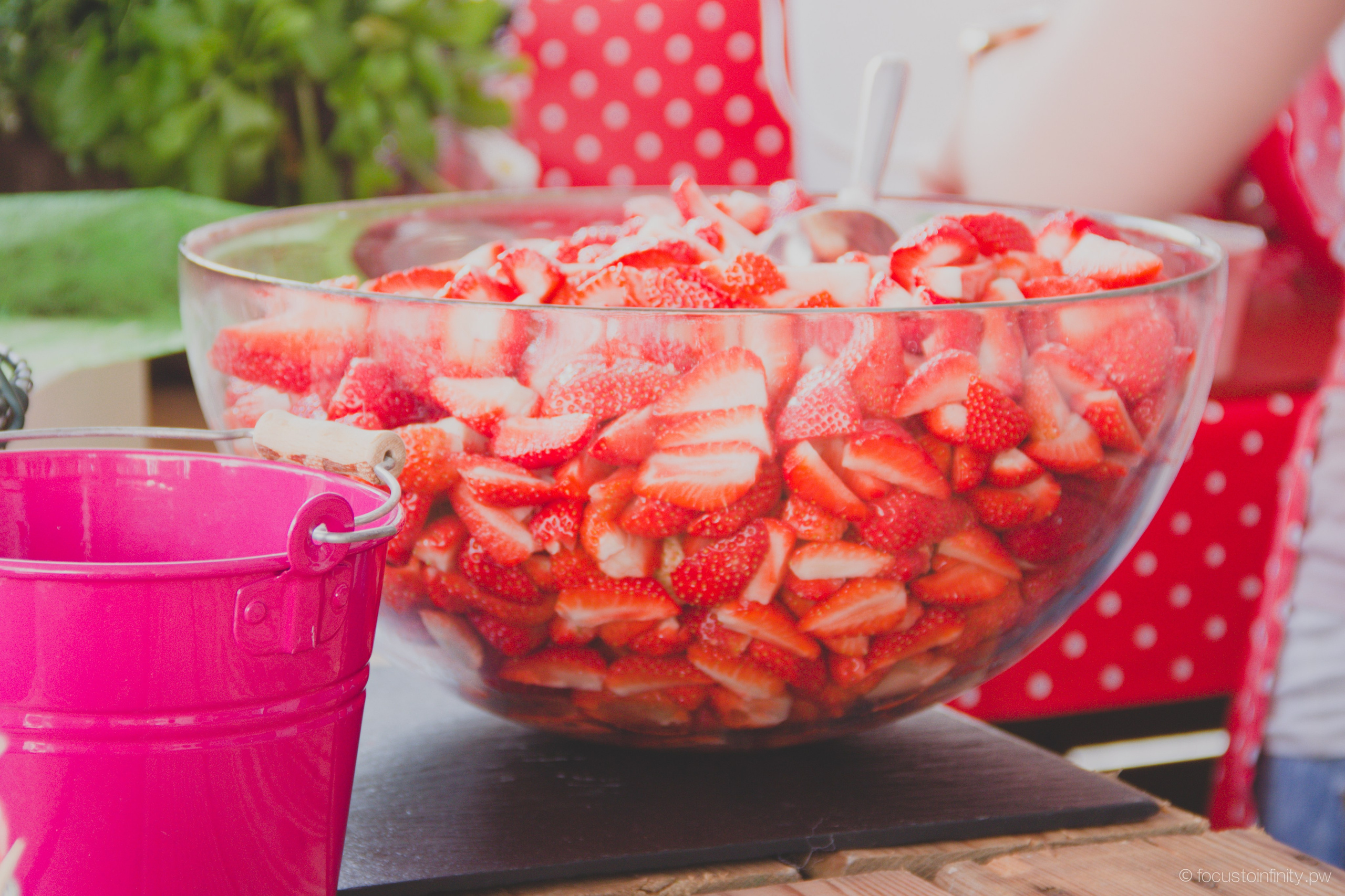 Oberkircher Erdbeerfest. Maria Chistyakovа — Fotografin in Karlsruhe, Baden-Baden und Umgebung