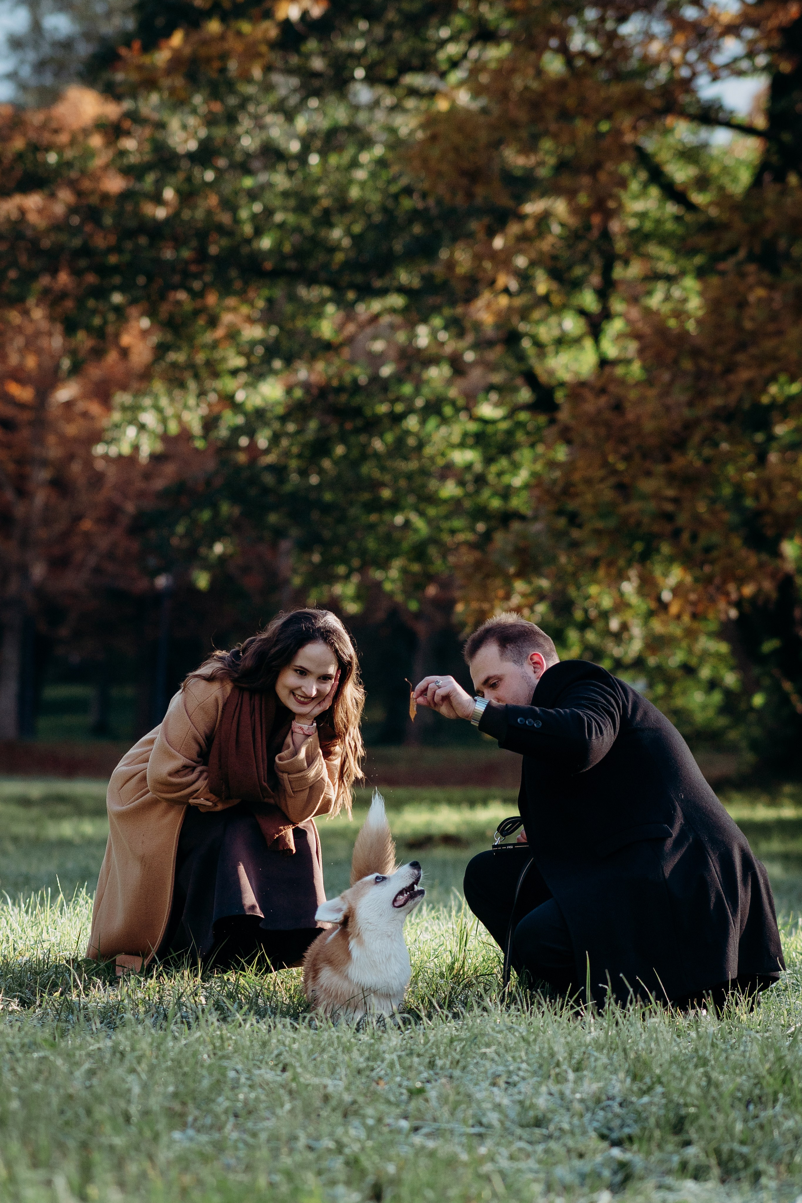 Liisa, Alexander & Marsel. Фотограф-анималист в Таллинне, Катя Лайсаар