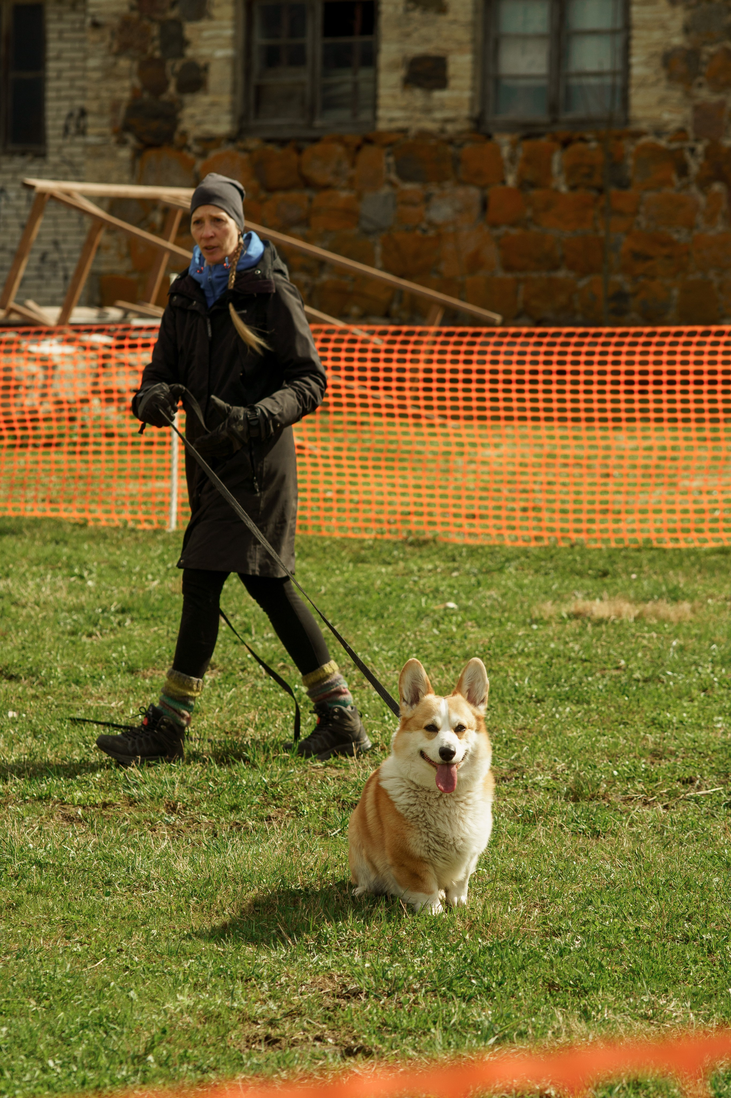 Herding Days, 26 apr. 2025. Kat Laisaar — Pet photographer in Tallinn