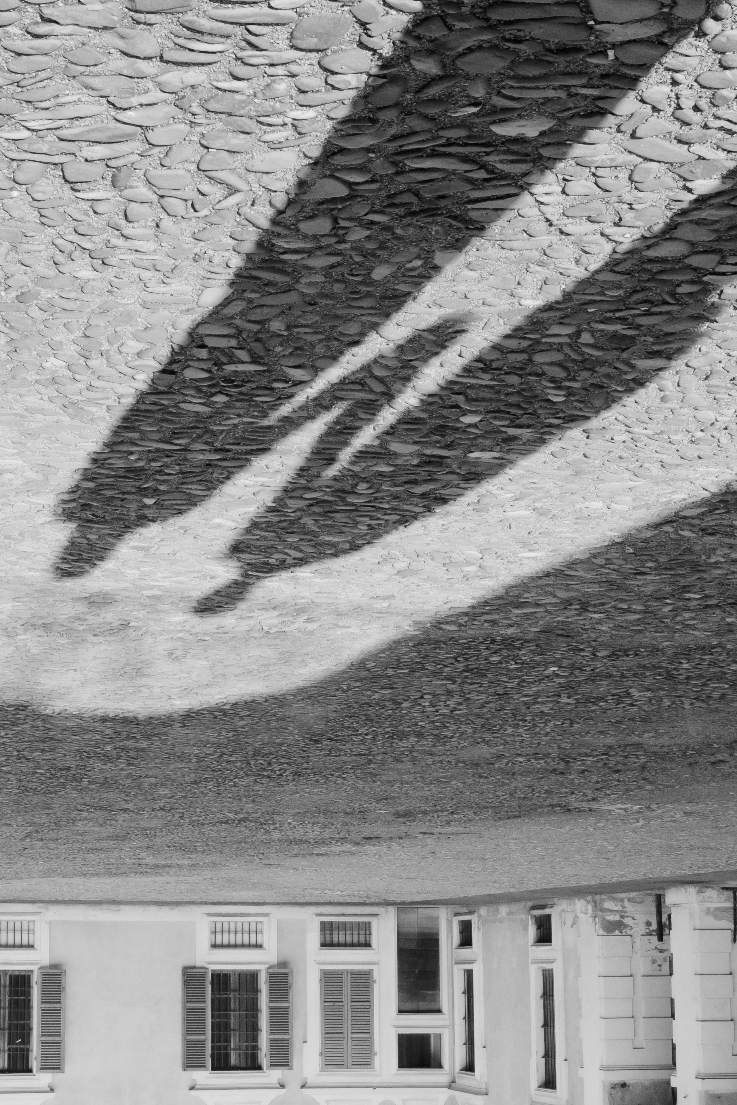 Anatolie & Daniela. Grosu Photography