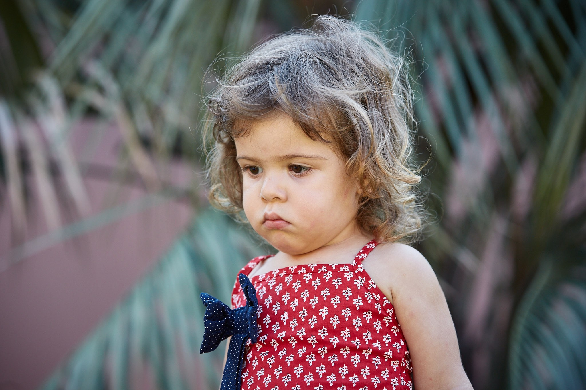 Ensaio Viviane, Sophia, Sara e Gabriel. Fotógrafo de casamentos em Florianópolis