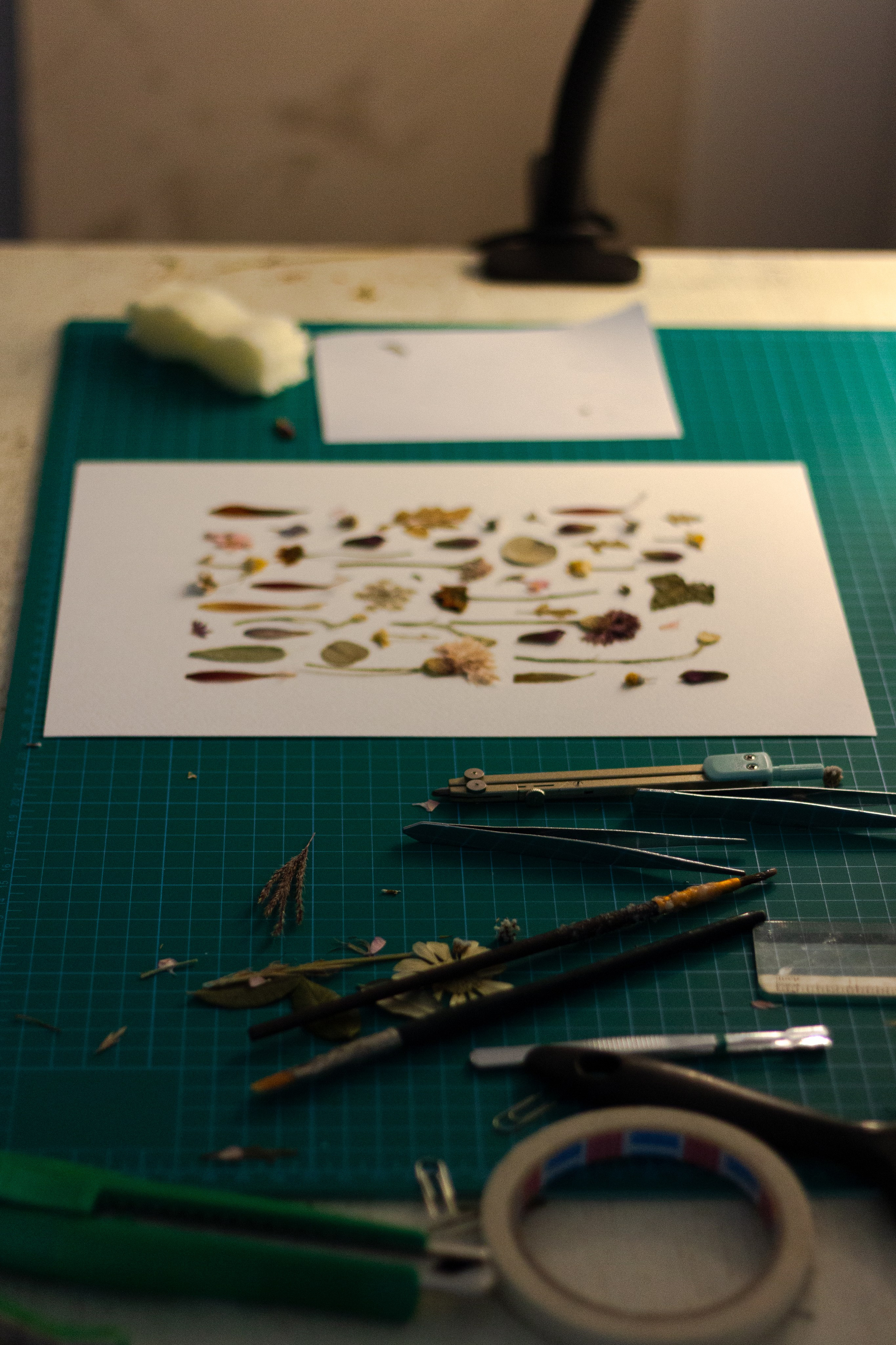 Portfolio. Herbarij studio