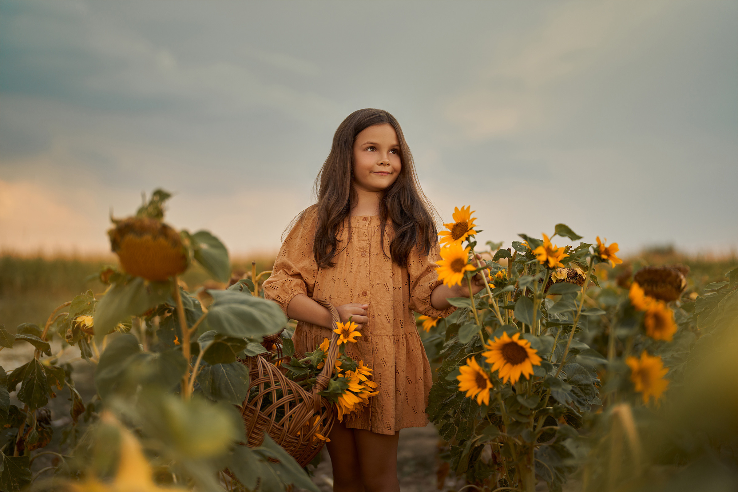 Studio. Studio Timis