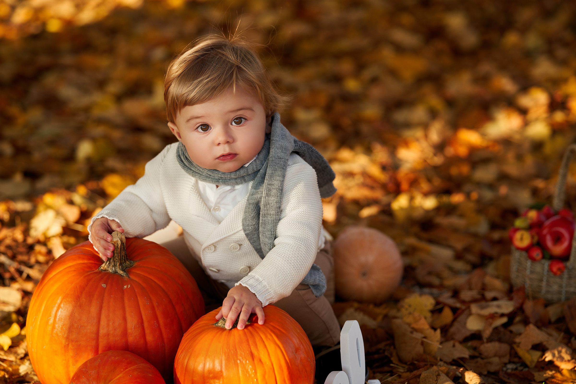 One Year old sessione fotografica. Studio Timis