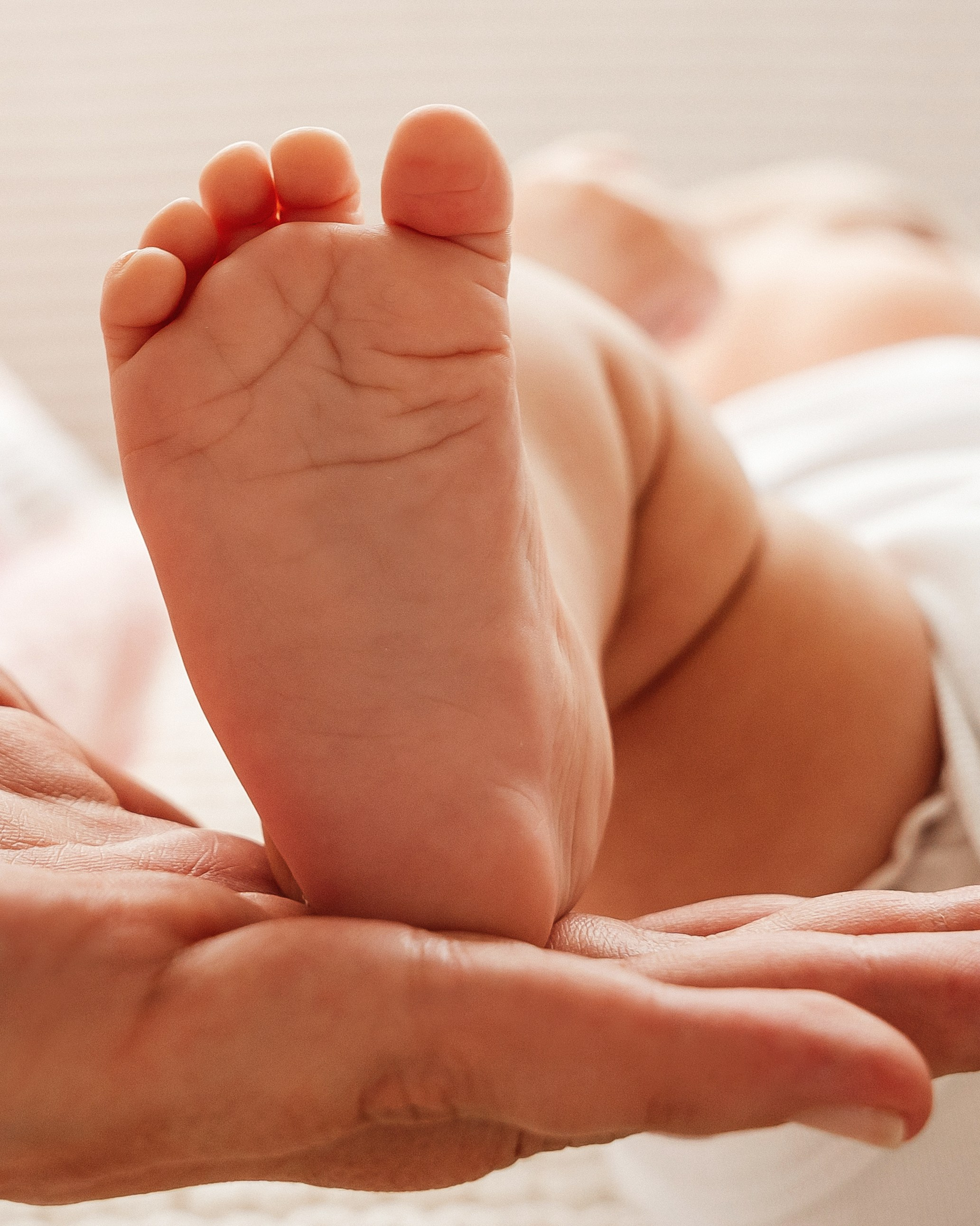 Mari, 3 Monate alt. Fotografin in Bad Hersfeld