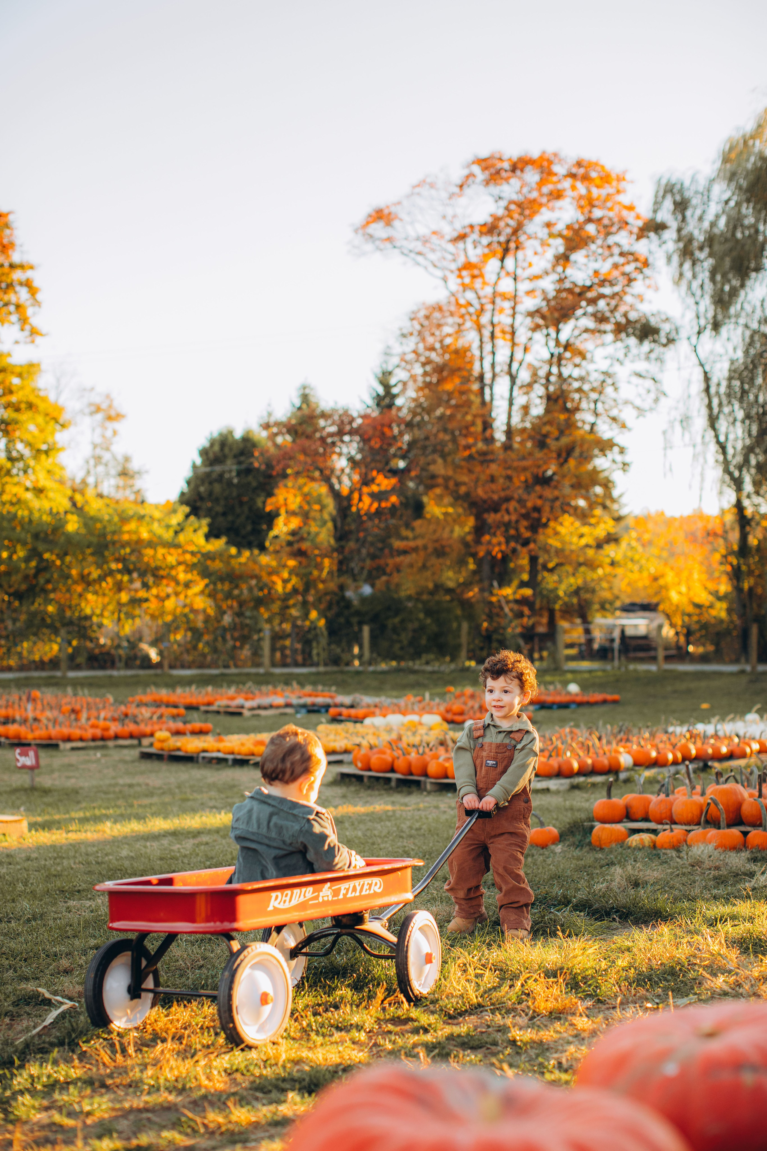 Victoria, Nick, Grayson and Noah at Harvest Moon Farm. Love Through Photo