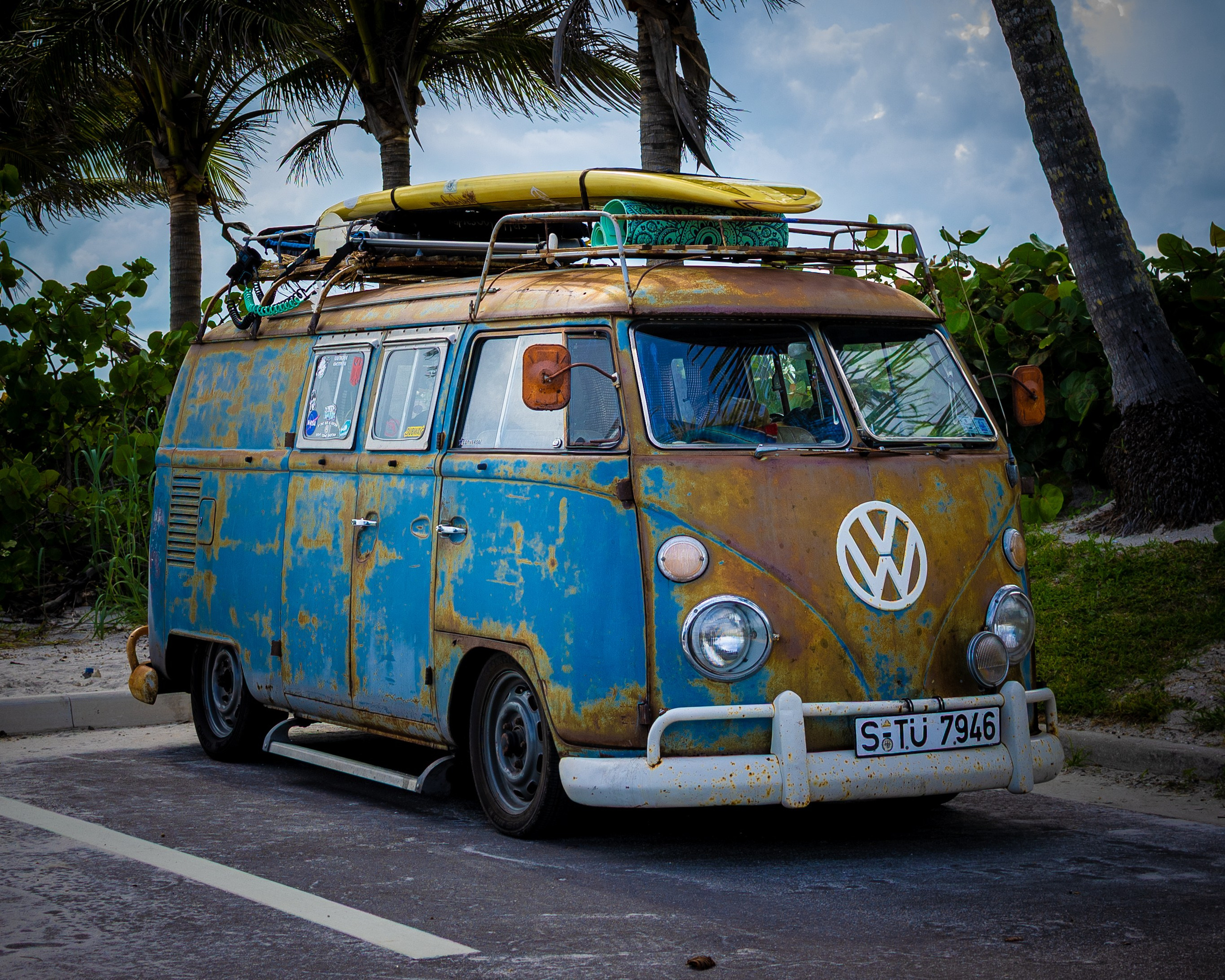 Summer 2025 Series. Out and About 239