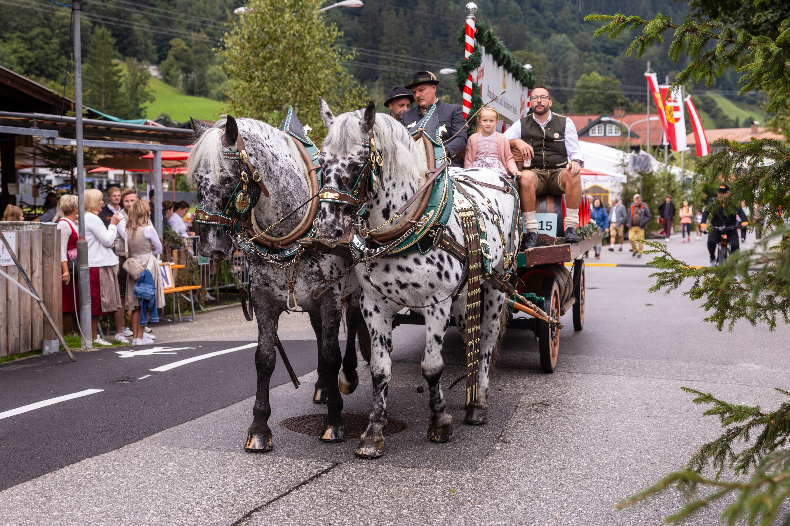 BAUERNHERBST, Dorfgastein, 23.08.2025. Guzel Kolobova| Fotografin| Salzburg