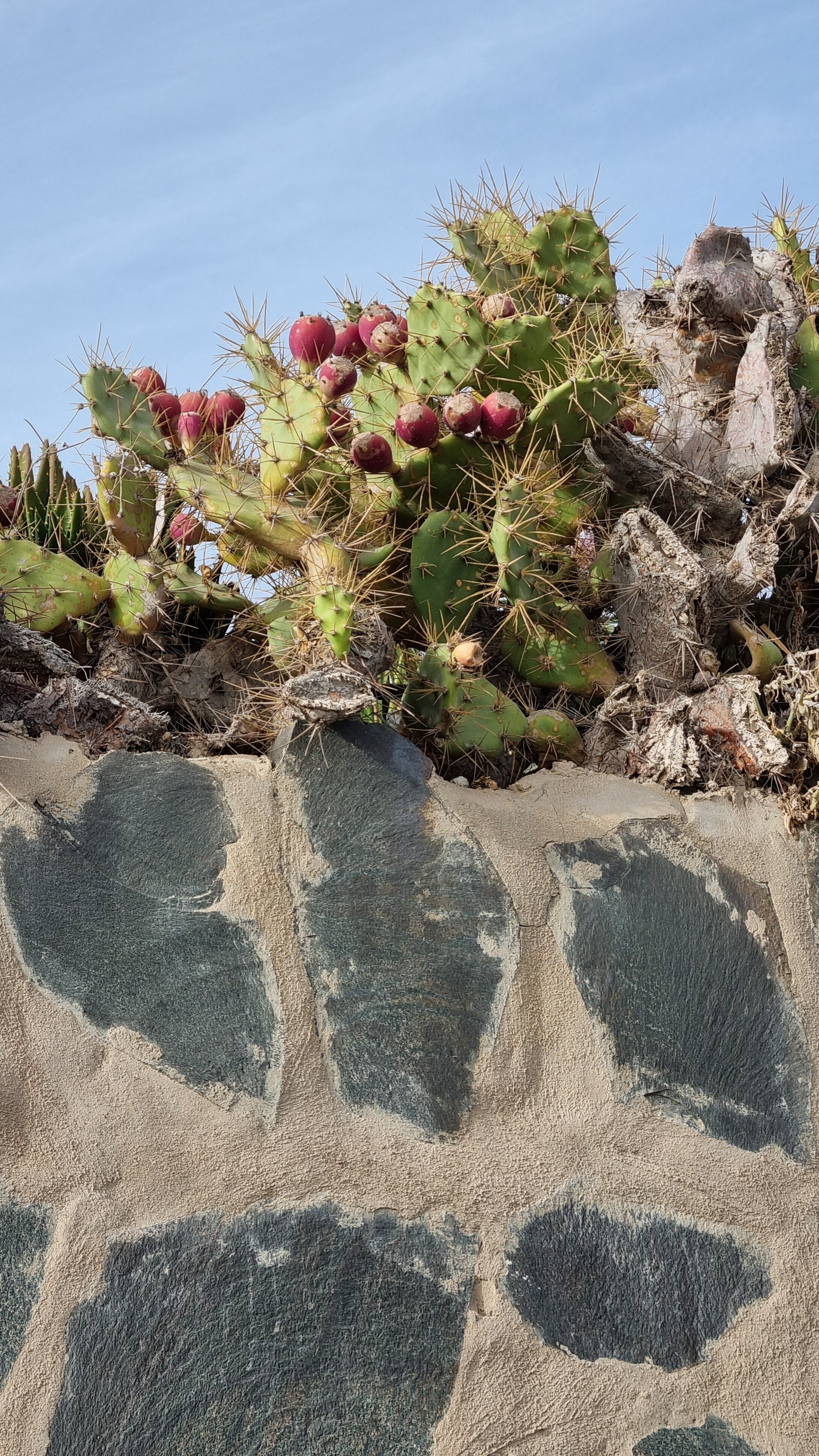 Gran Canaria 2024. Марина фотограф из Нюрнберга