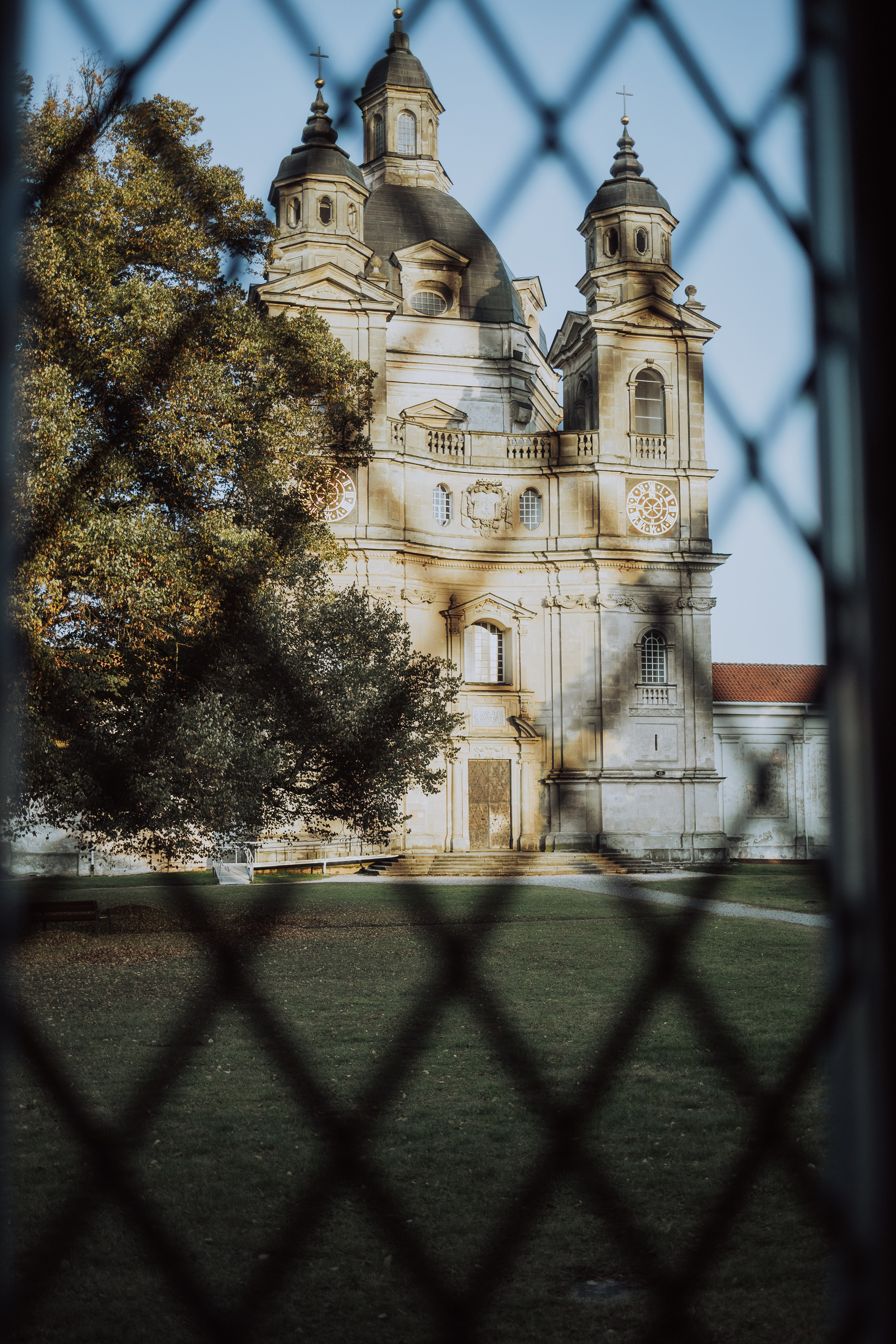 Wedding photographer Alena Bushueva