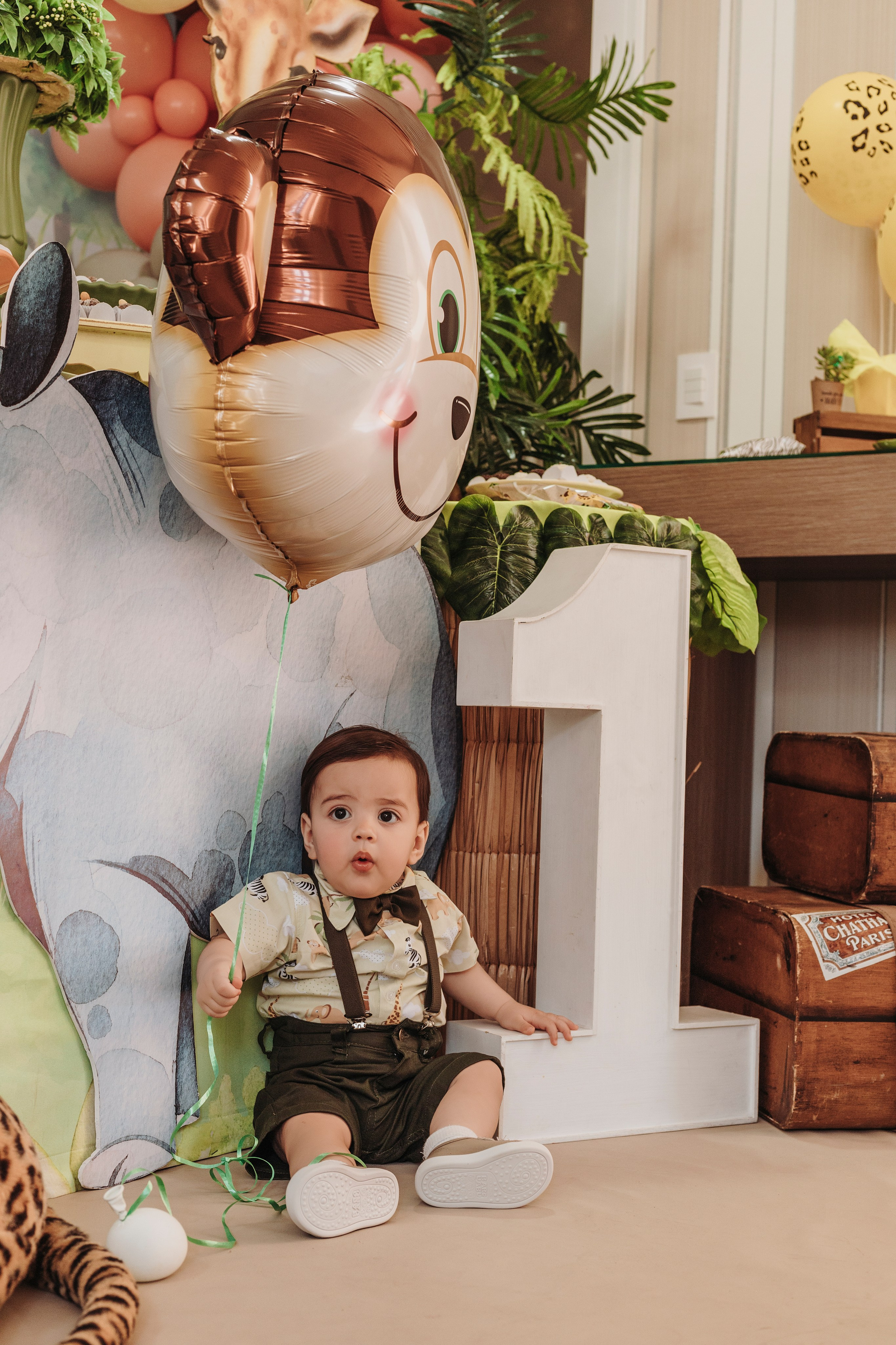 Aniversário infantil safari, em São José, Santa Catarina.