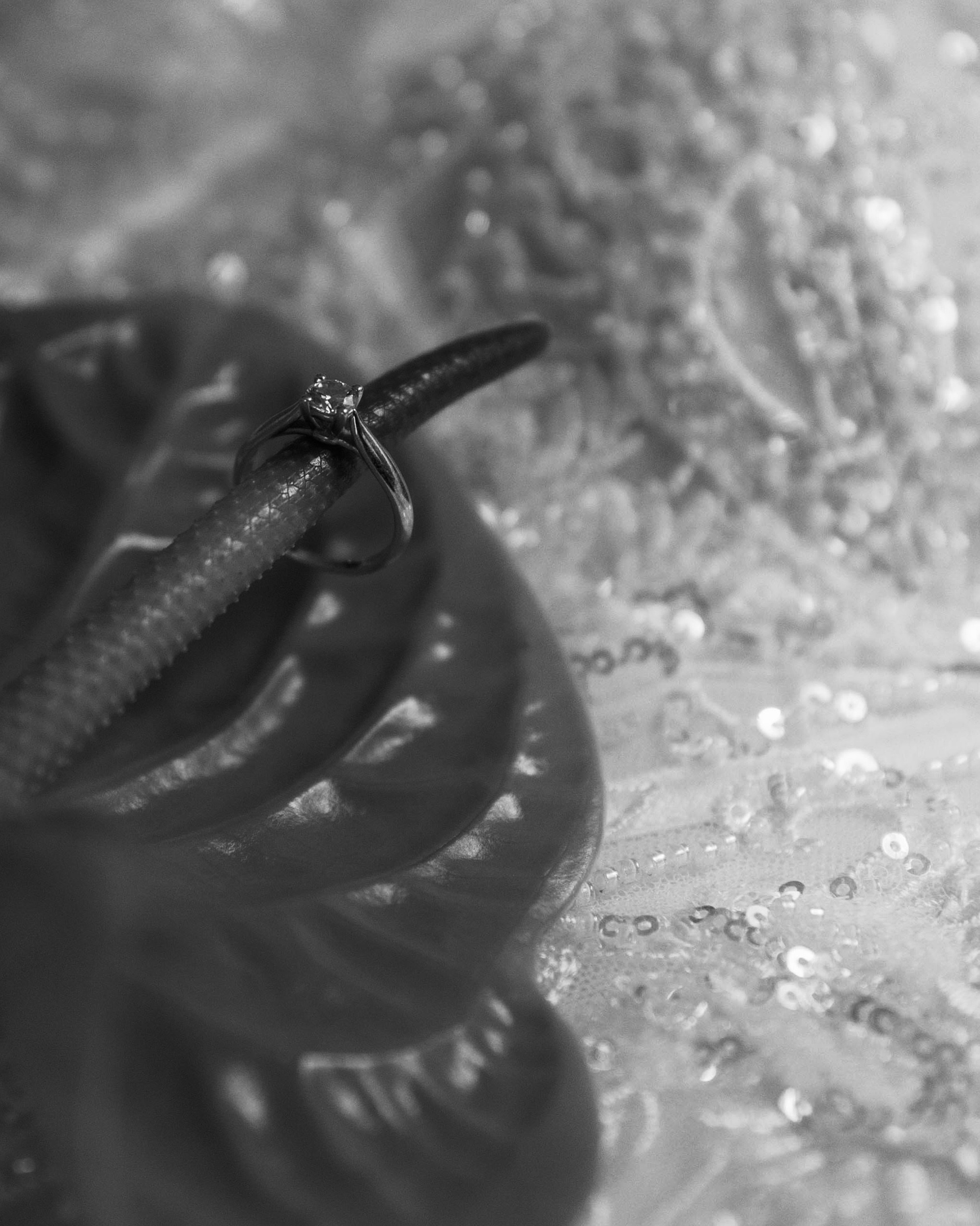 Портфолио. Свадебный фотограф Анастасия Биктимирова