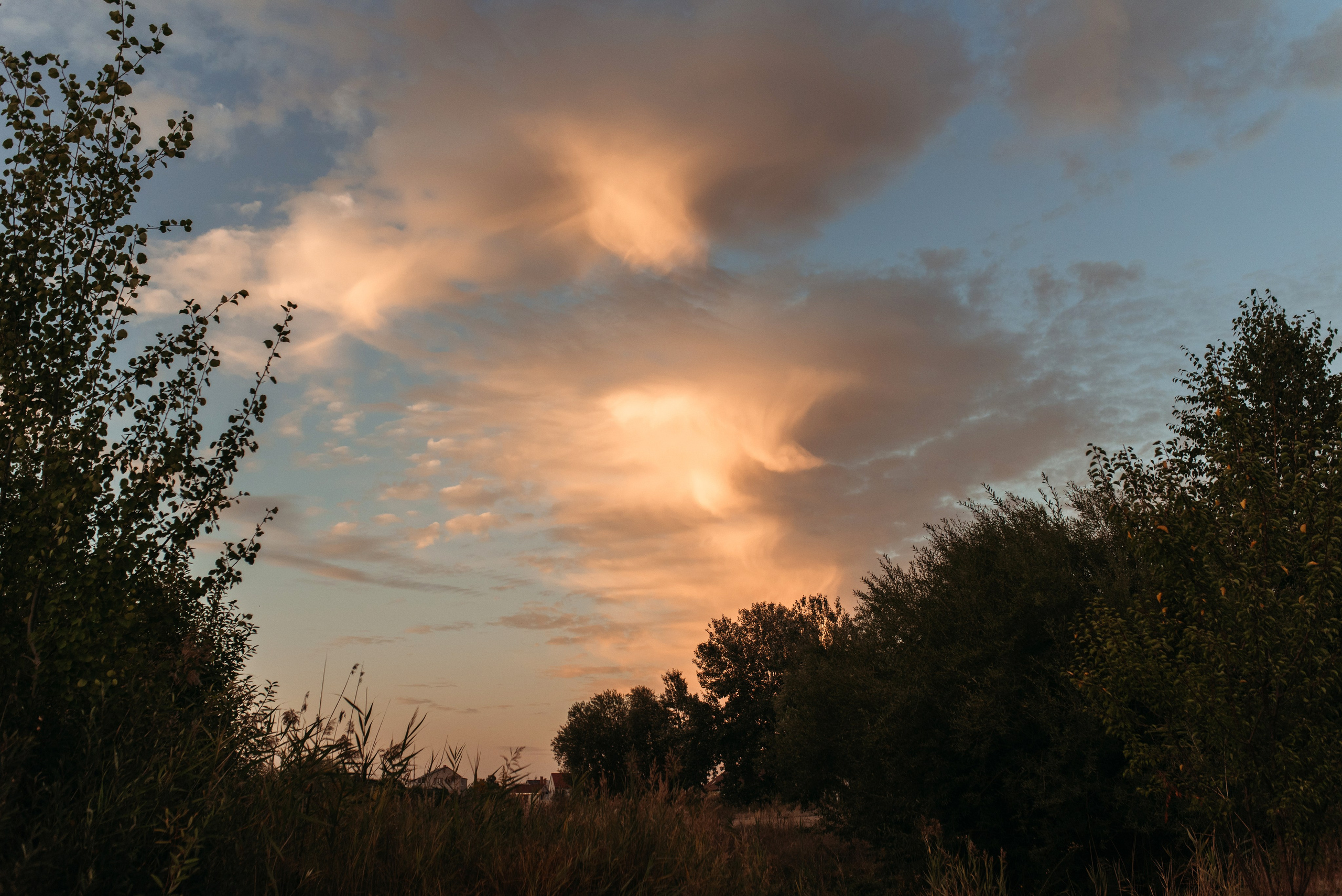 Marina & Artem & Timur. Familien- und Hochzeitsfotografin. Ich arbeite in Koblenz und Rheinlan