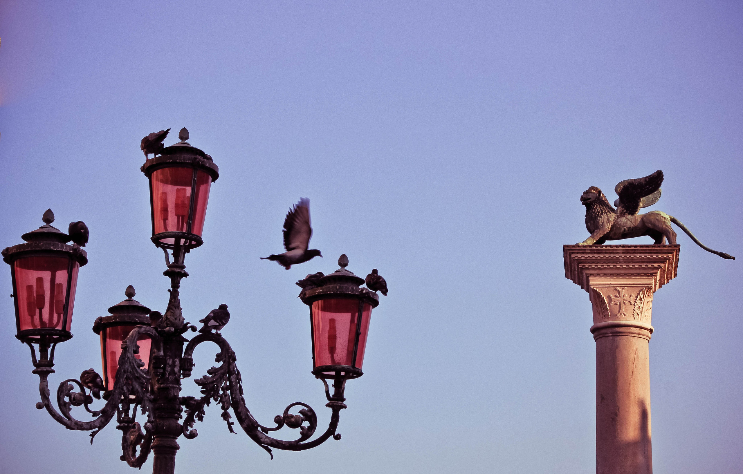 ИТАЛИЯ. Стрит-фотография, полная абсурда, идиотизма и красоты