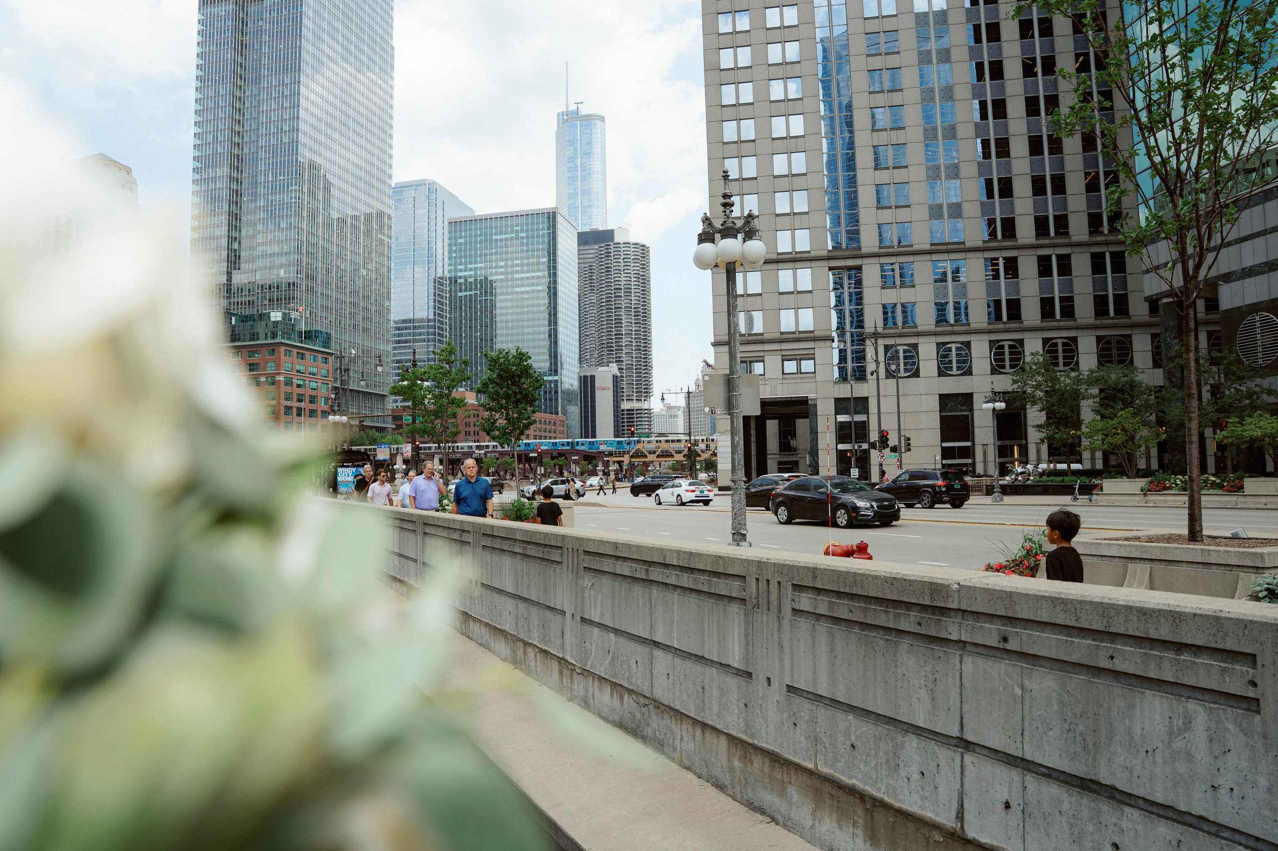 Wedding Photography | Chicago Botanic Garden & Downtown Chicago. Main