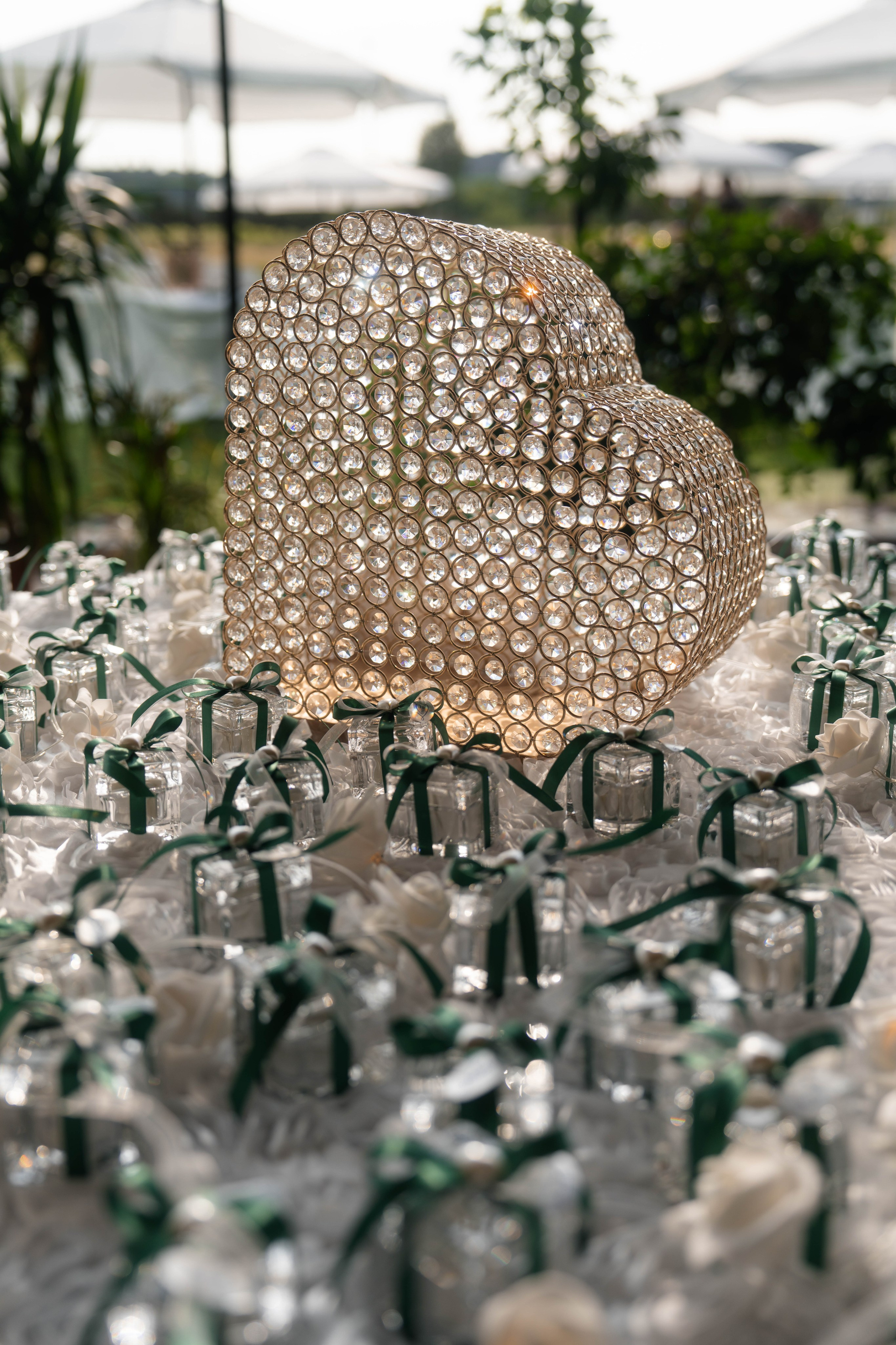 Cosmin & Georgiana. Studio Timis