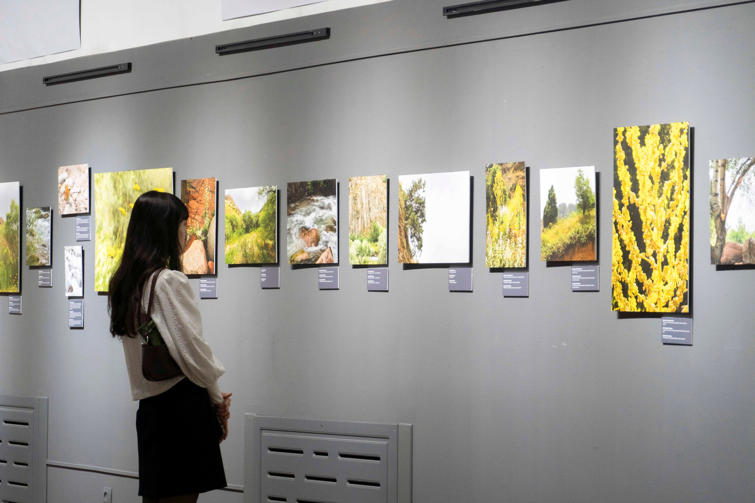 Wildlife Photography Programme (British Council x MOC). Melikov Amir, Uzbekistan based photographer