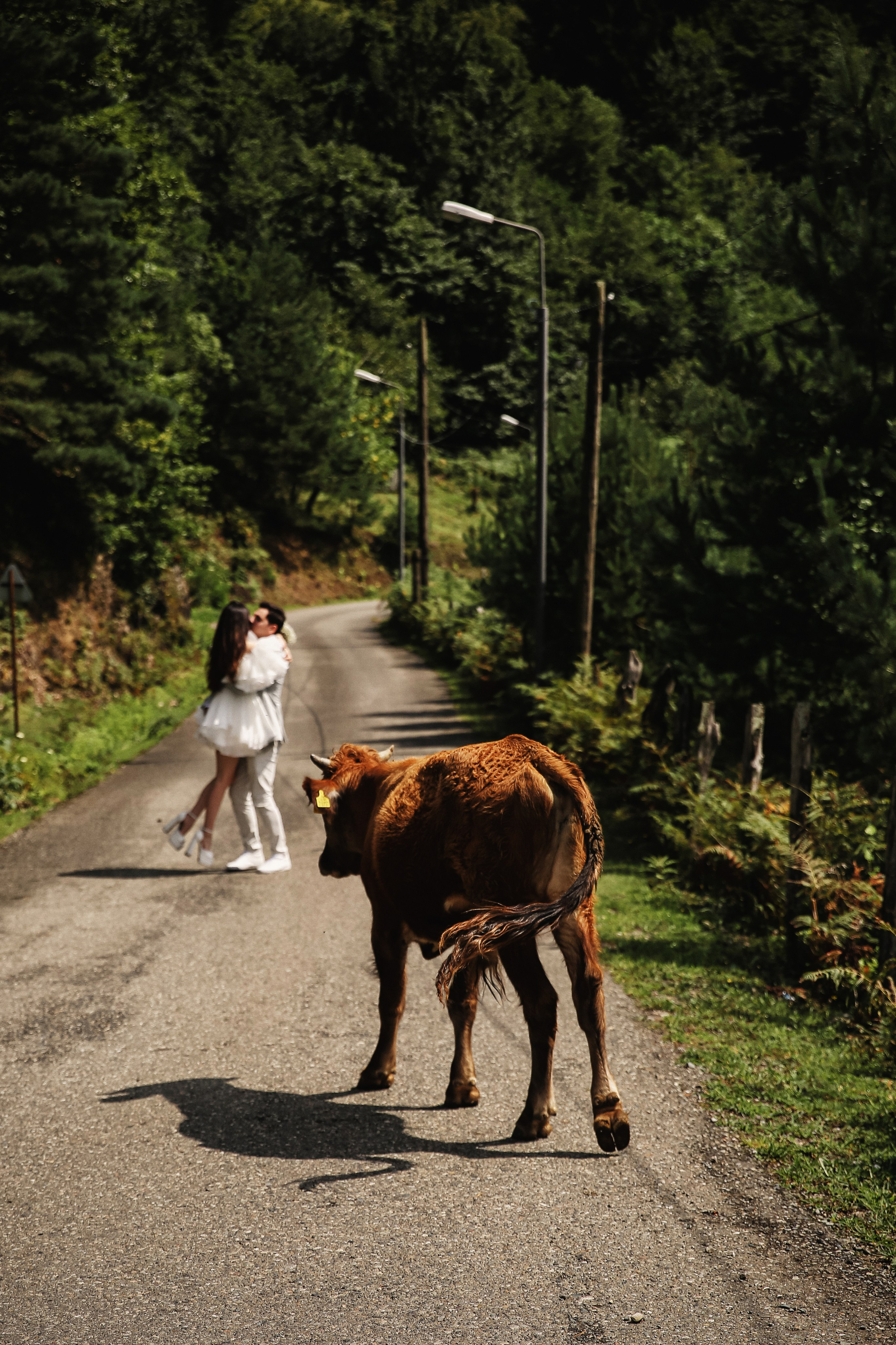 Сhateau. Свадебный, семейный и детский фотограф в Беларуси и за ее пределами