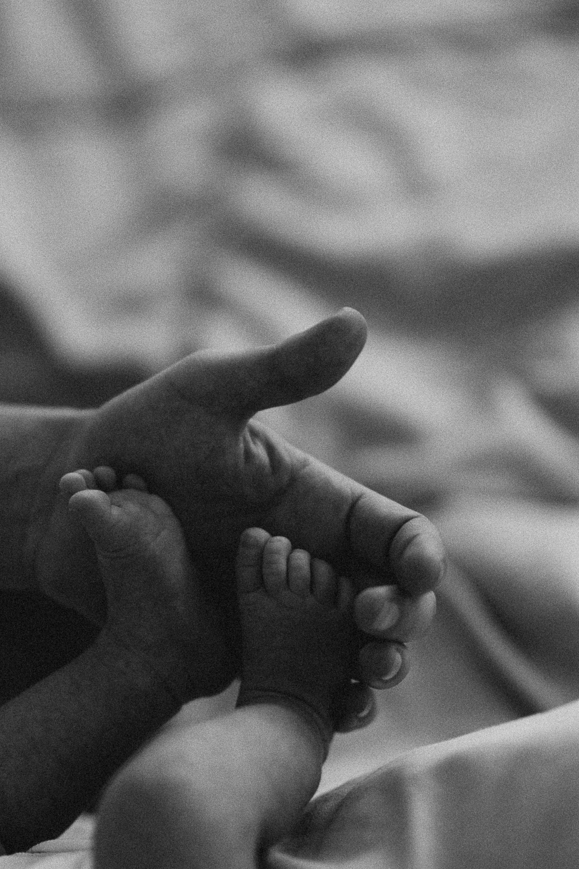 Fotografo de familia en Quito Anastasia Eliseeva