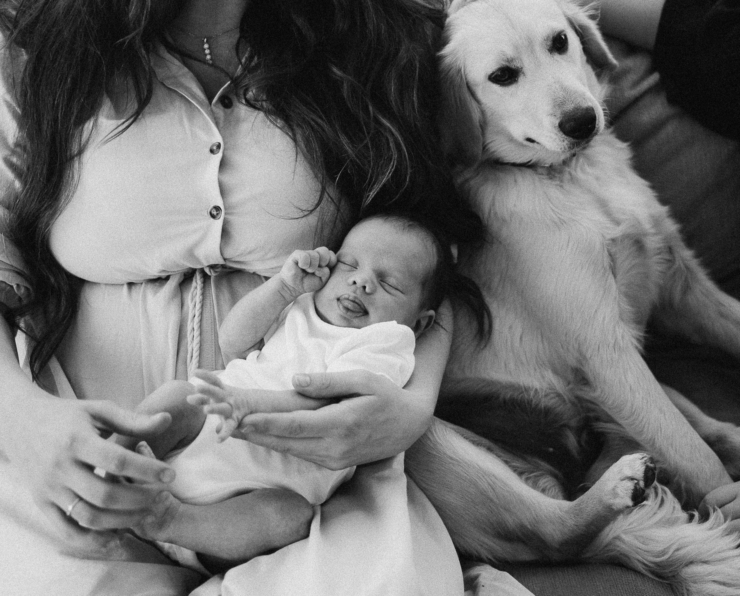 Fotografo de familia en Quito Anastasia Eliseeva