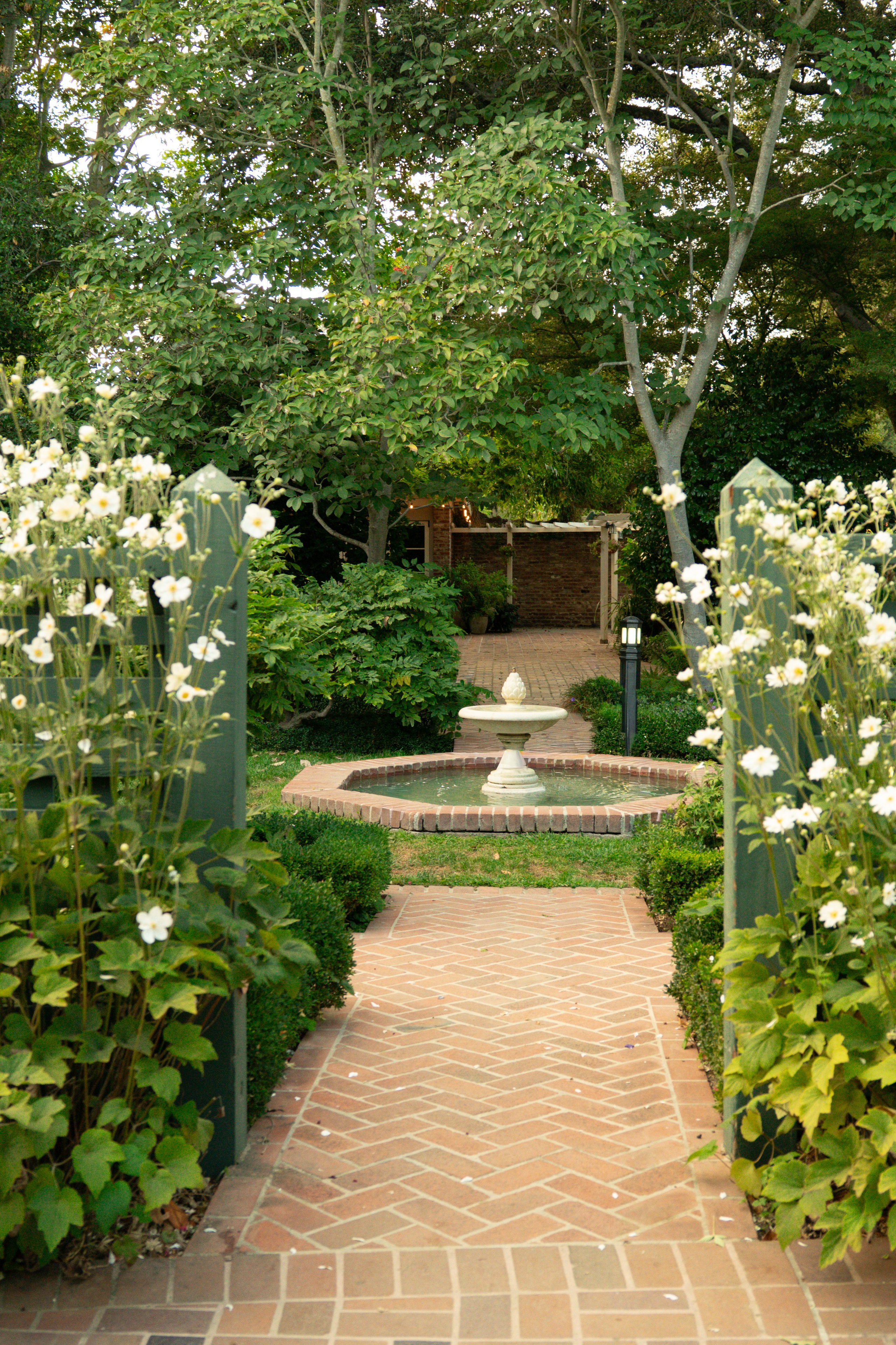 Elopment — San Francisco