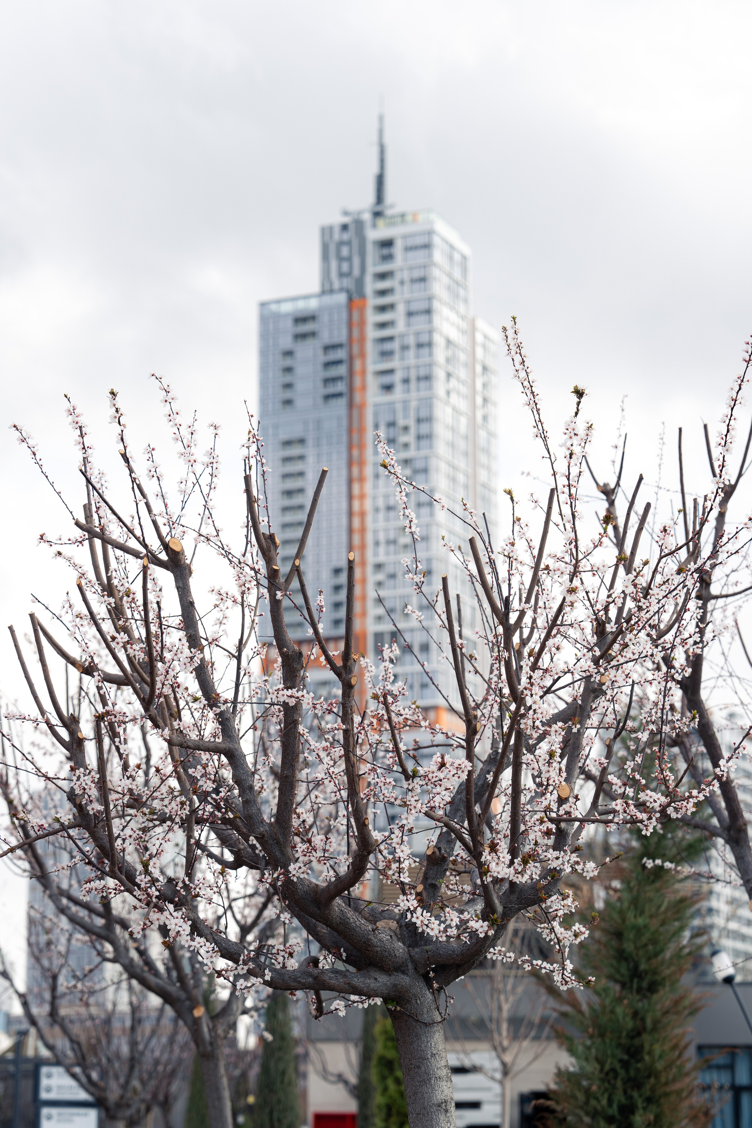 Навруз. Георгий Намазов | Фотограф в Ташкенте