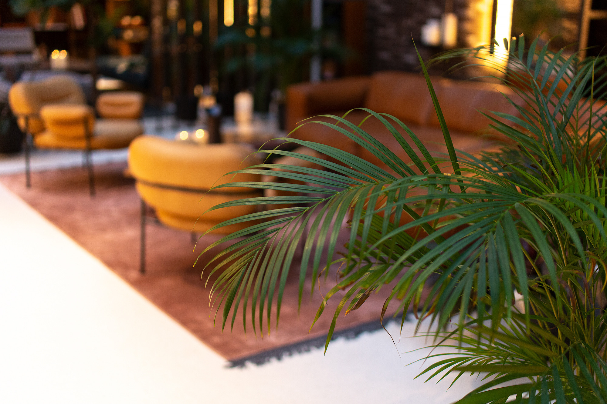 LOFT & ROSEGOLD. Wedding, portrait & event photographer in Riga, Latvia