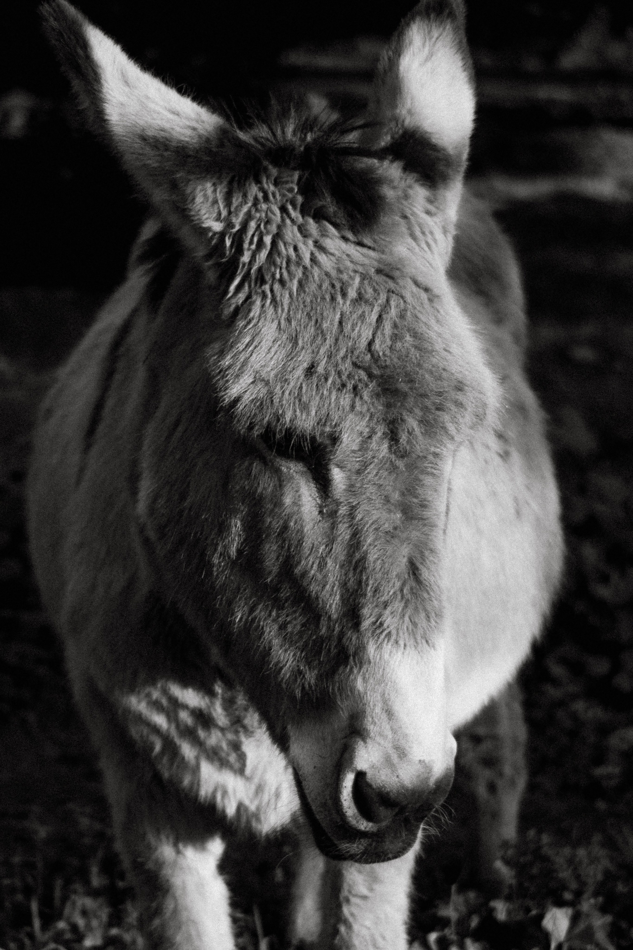 La Coudoulière, Saint Mandrier. Photographe à la Seyne sur Mer, Var