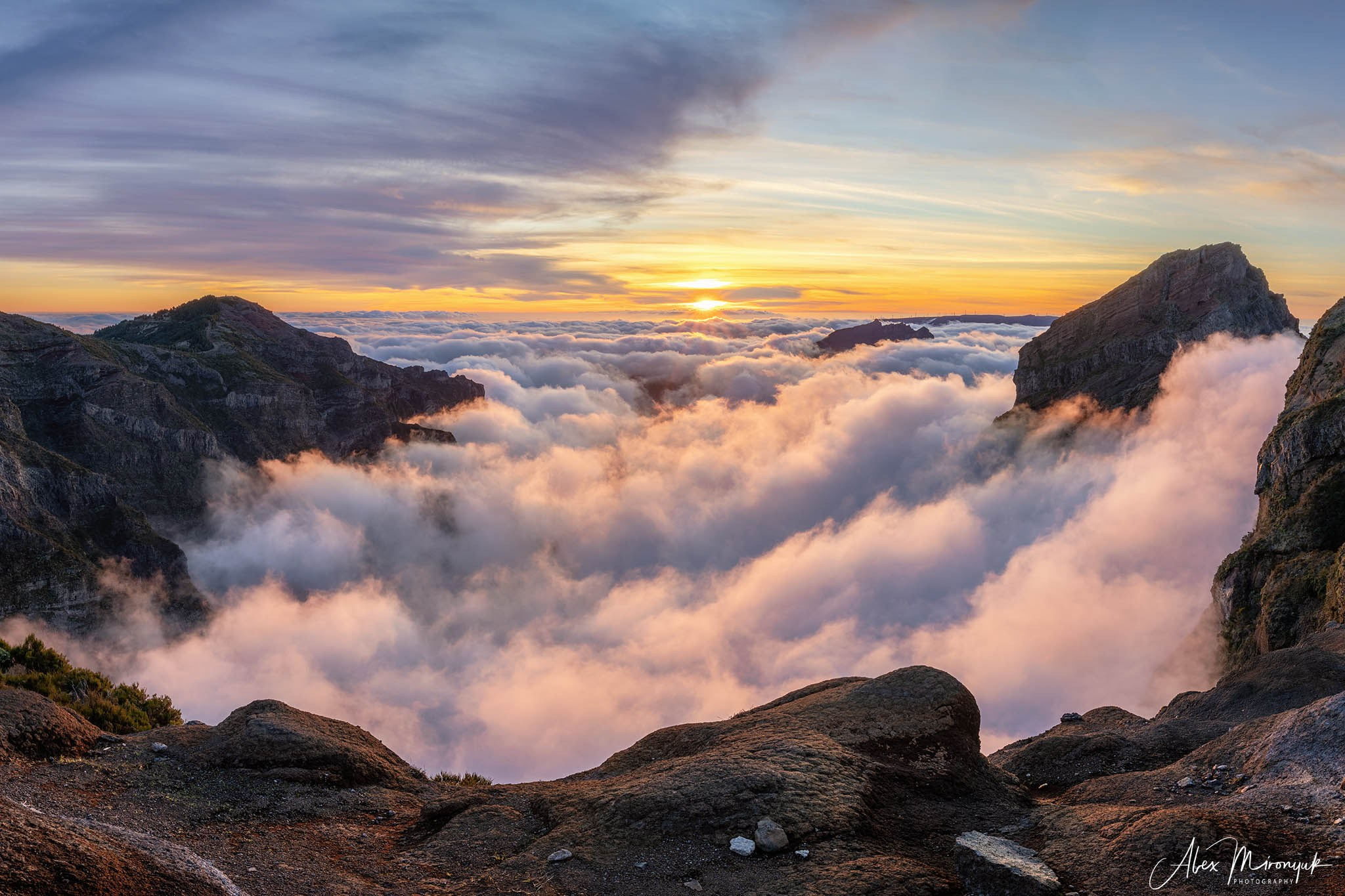 Madeira And Azores. Pet, Senior, Landscape, portrait studio, photographer in Miami and Sou