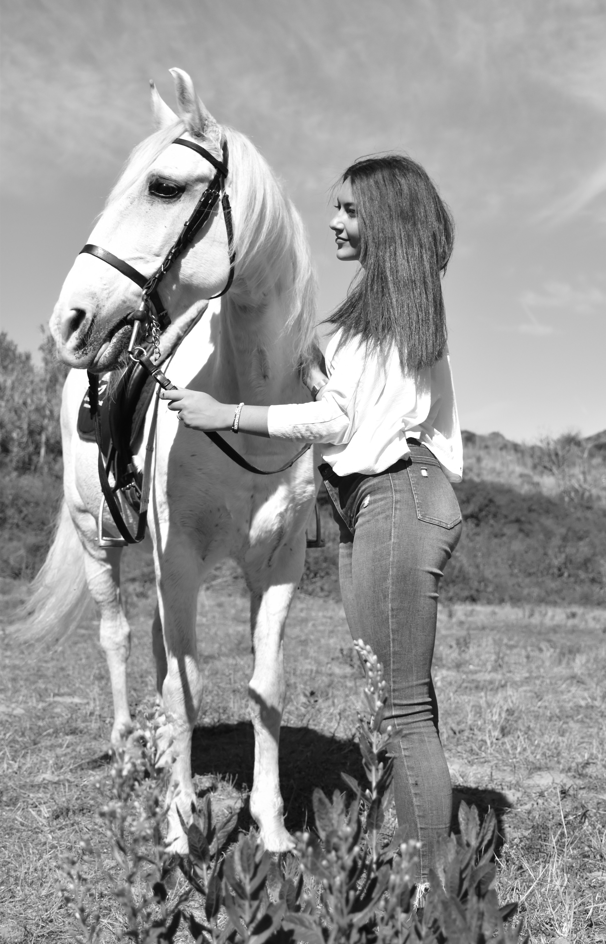 Horses. Niaferreiraphotography