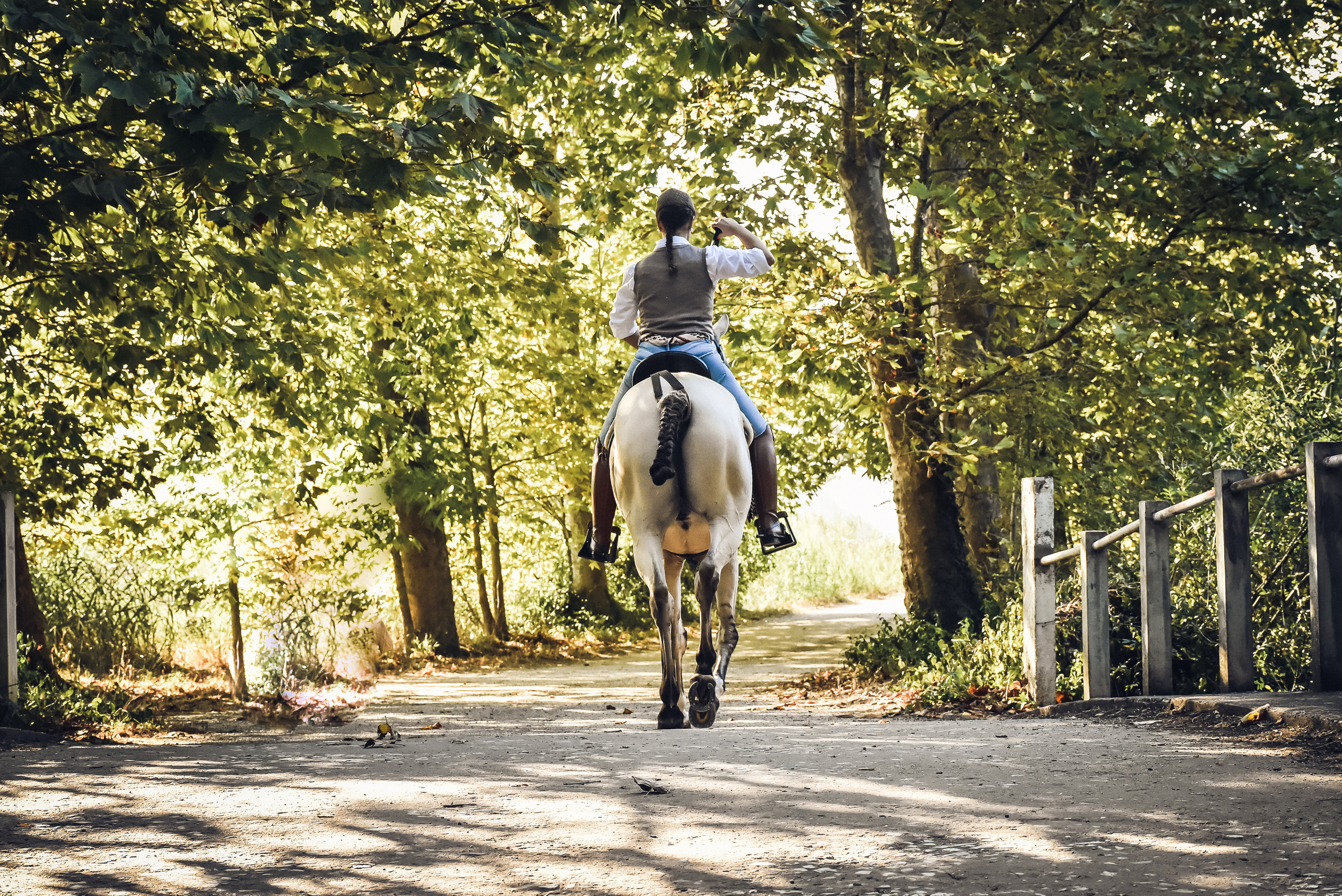 Horses. Niaferreiraphotography
