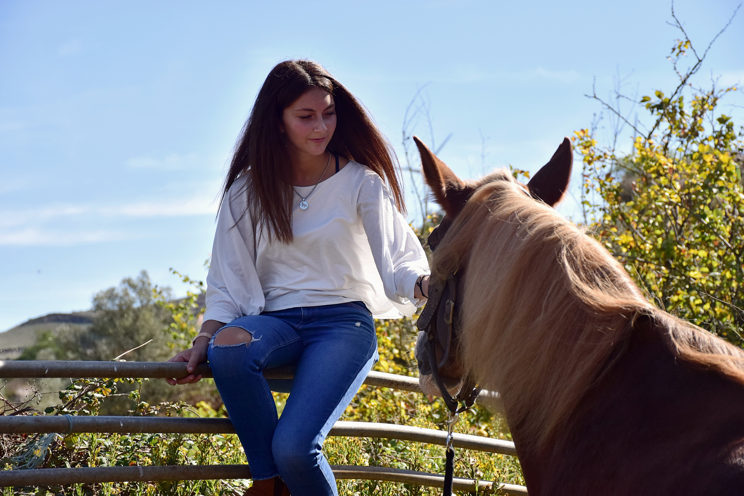 Horses. Niaferreiraphotography
