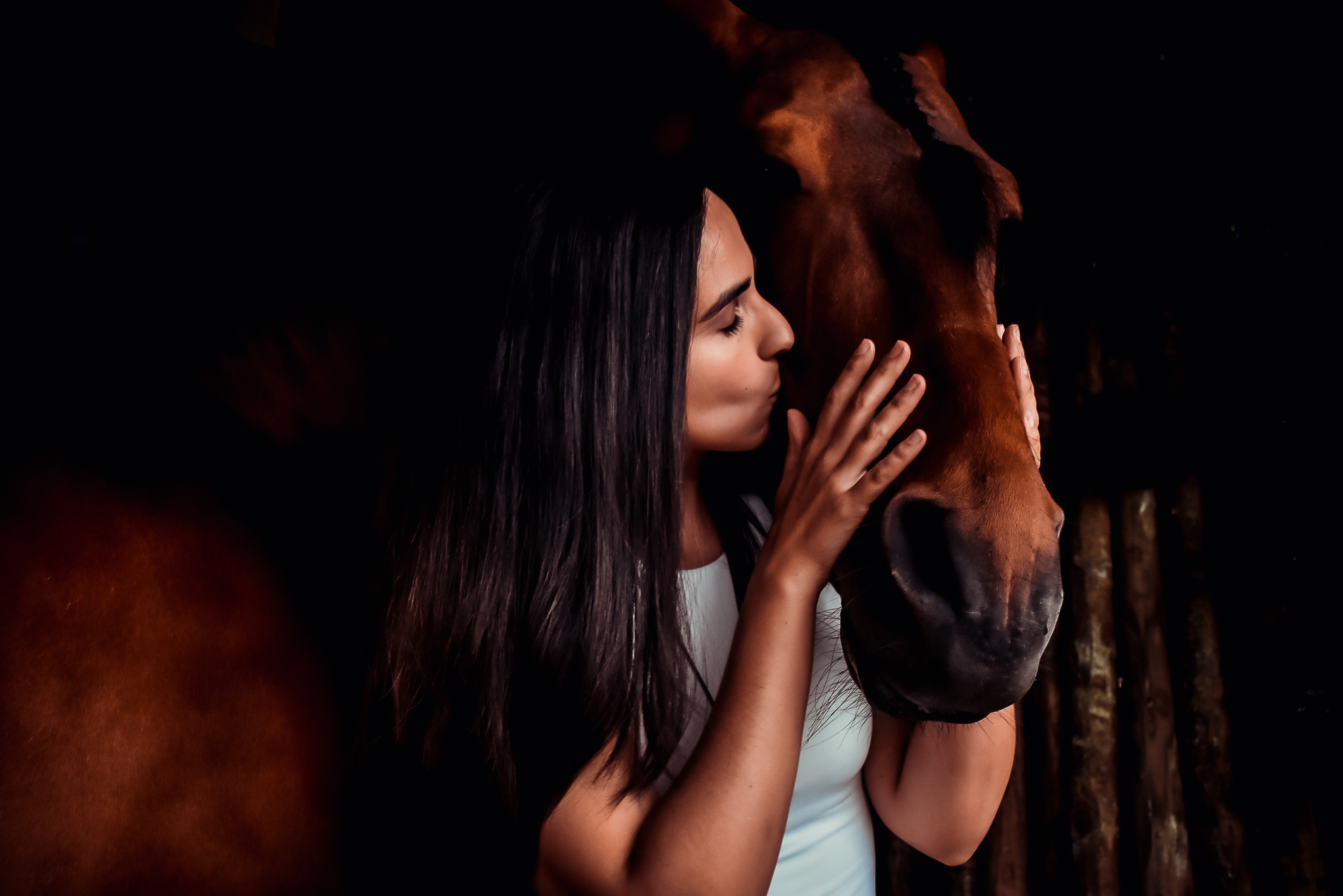Horses. Niaferreiraphotography