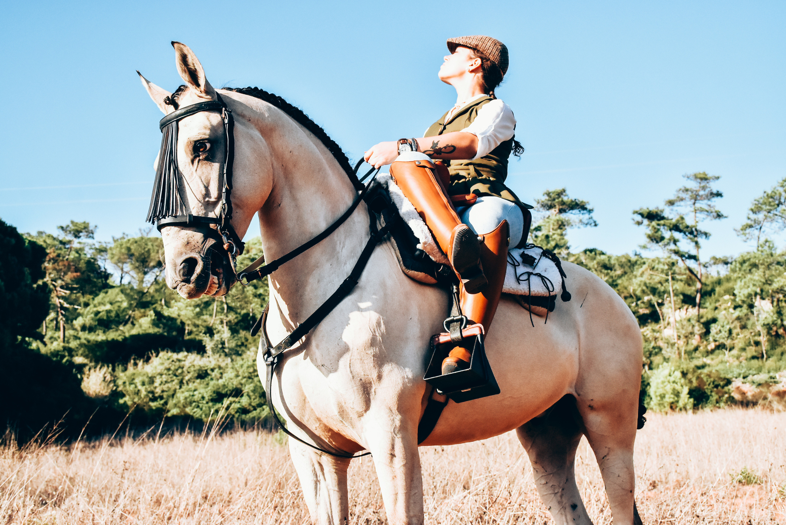 Horses. Niaferreiraphotography