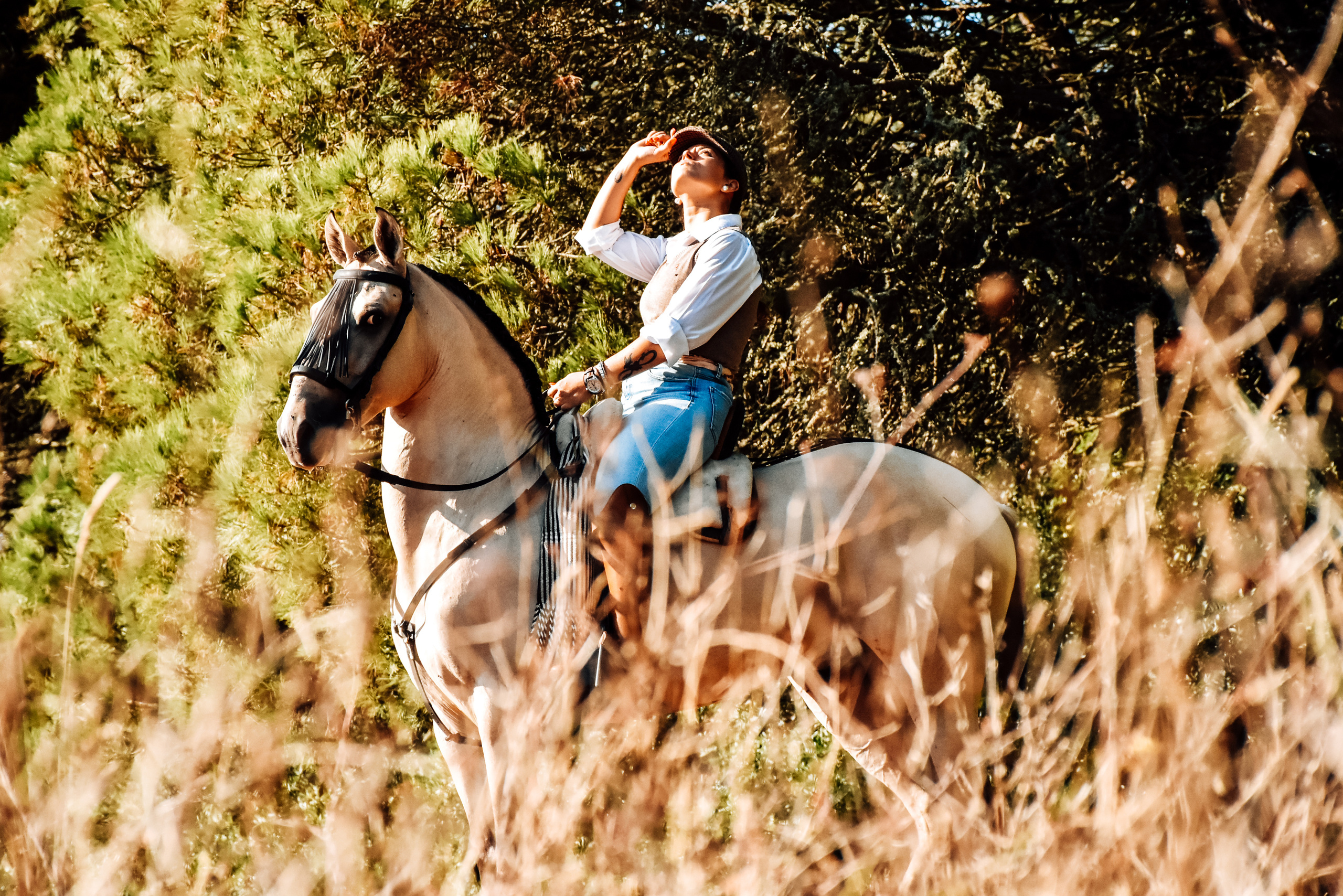 Horses. Niaferreiraphotography
