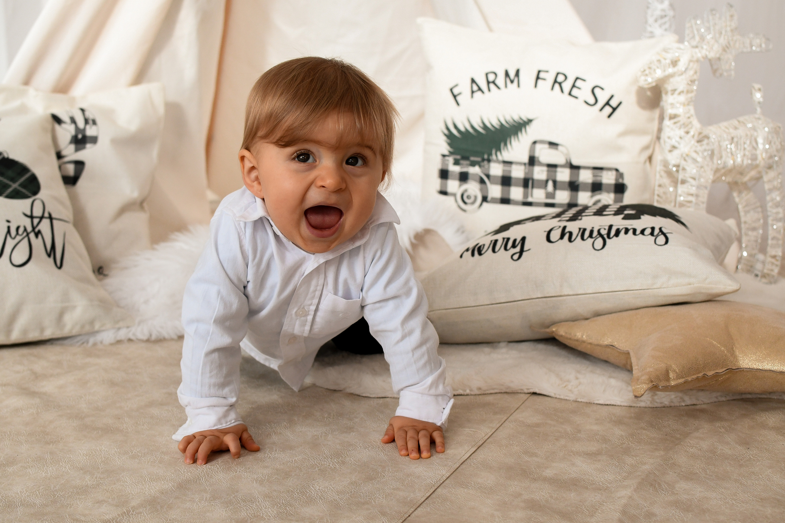 Vânessa. Niaferreiraphotography