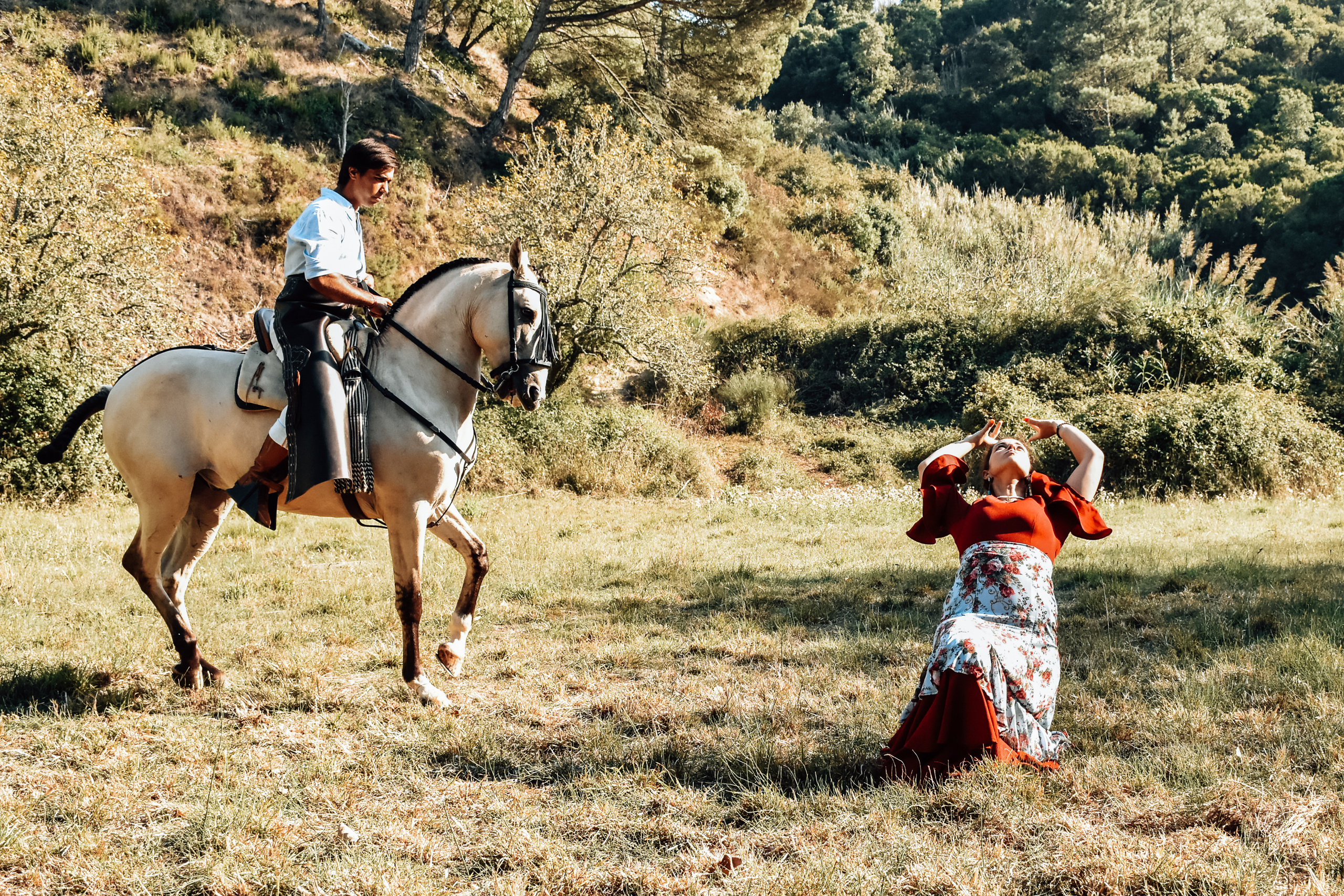 Horses. Niaferreiraphotography