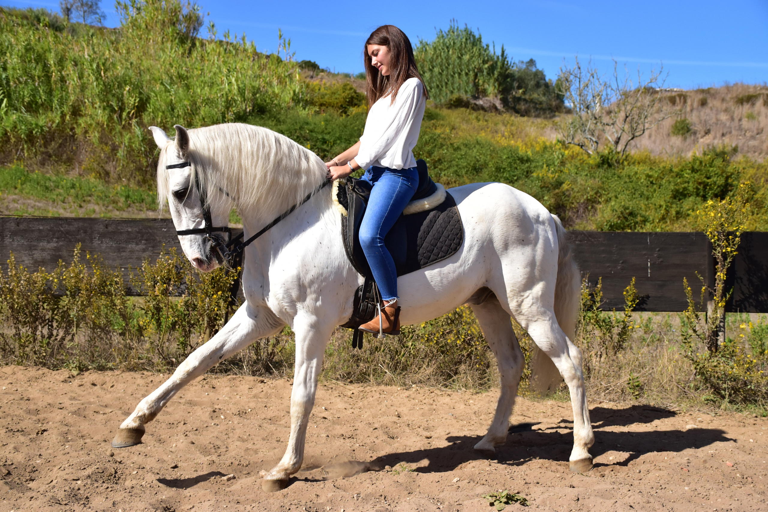 Horses. Niaferreiraphotography