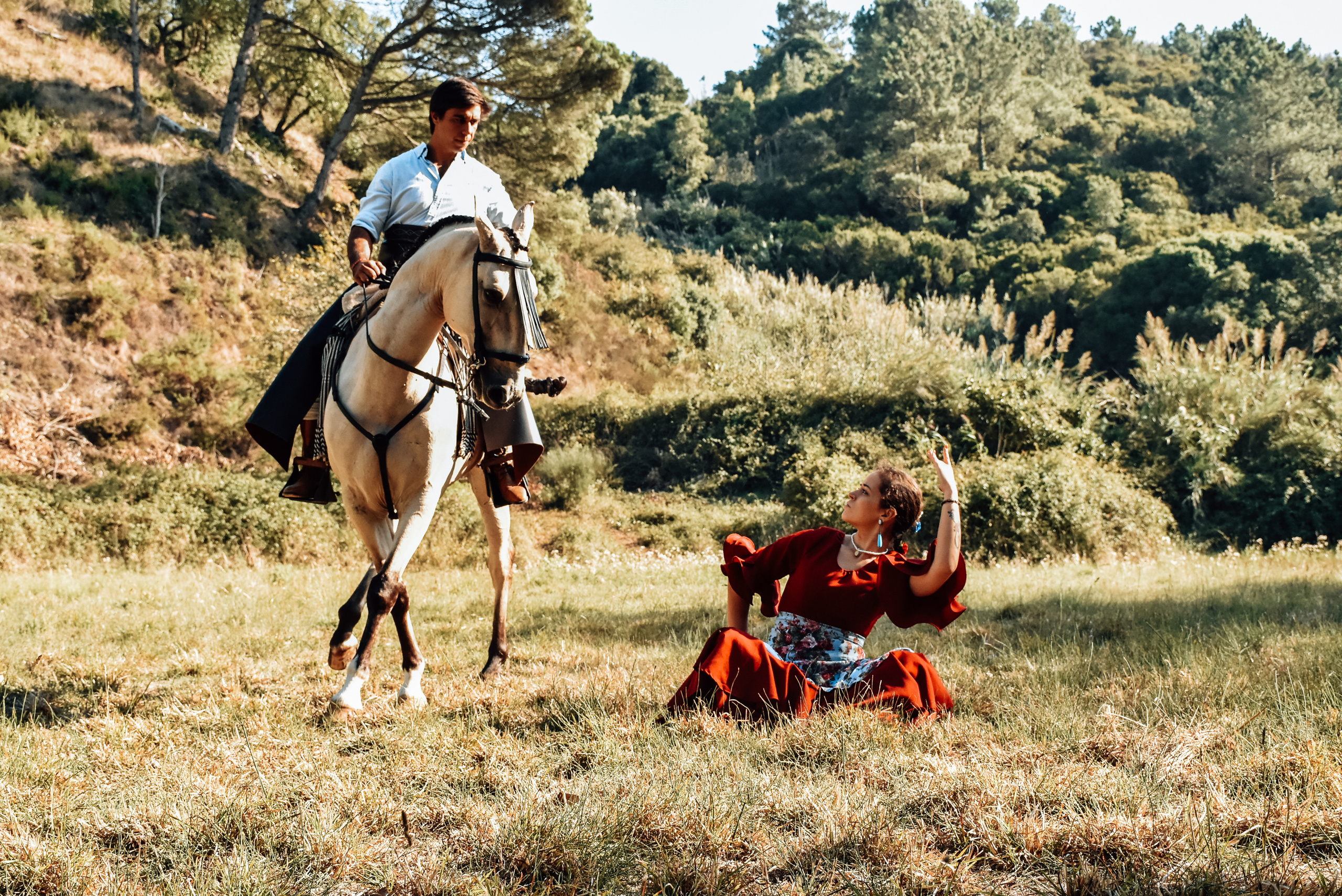 Horses. Niaferreiraphotography